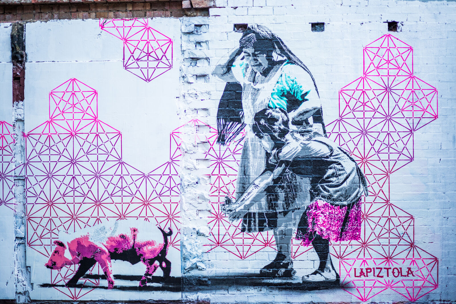Canon EF 85mm F1.8 USM sample photo. Graffiti, lady, pig, street photography