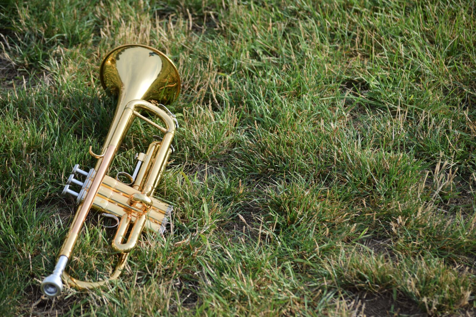 Nikon D3300 sample photo. Music, musical instruments, horns photography
