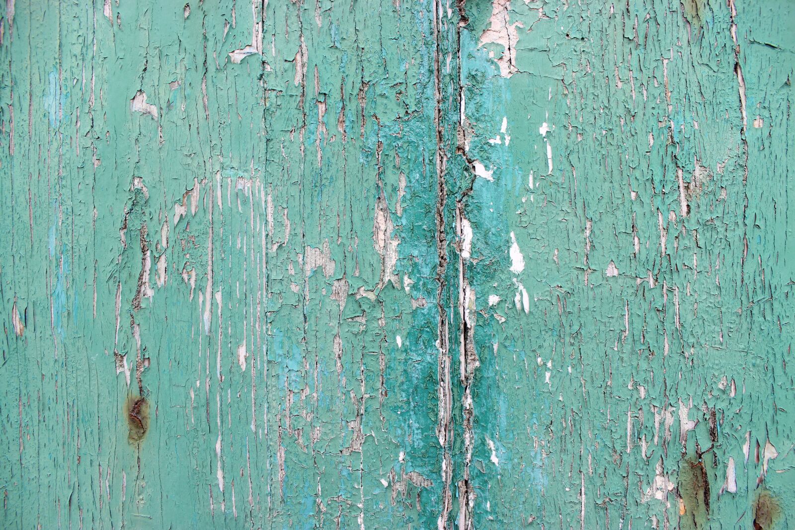 Canon EOS 600D (Rebel EOS T3i / EOS Kiss X5) sample photo. Background, wood, color photography