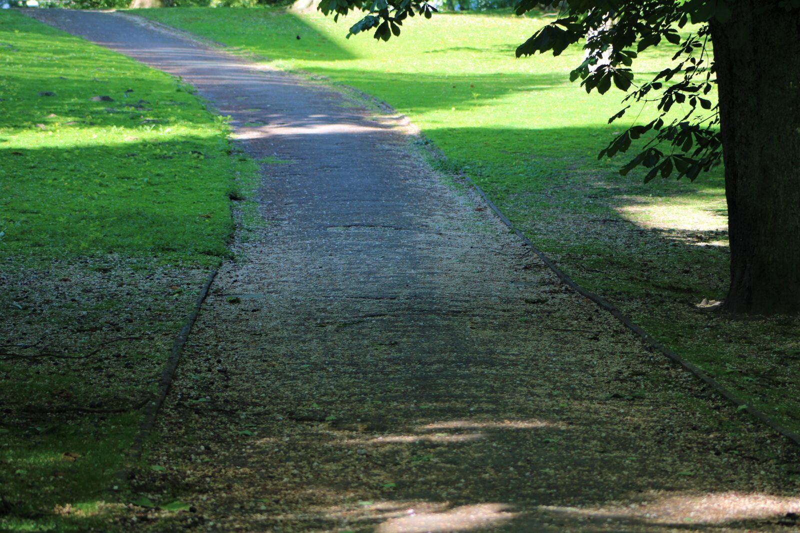 Canon EF75-300mm f/4-5.6 sample photo. Away, path, forest photography