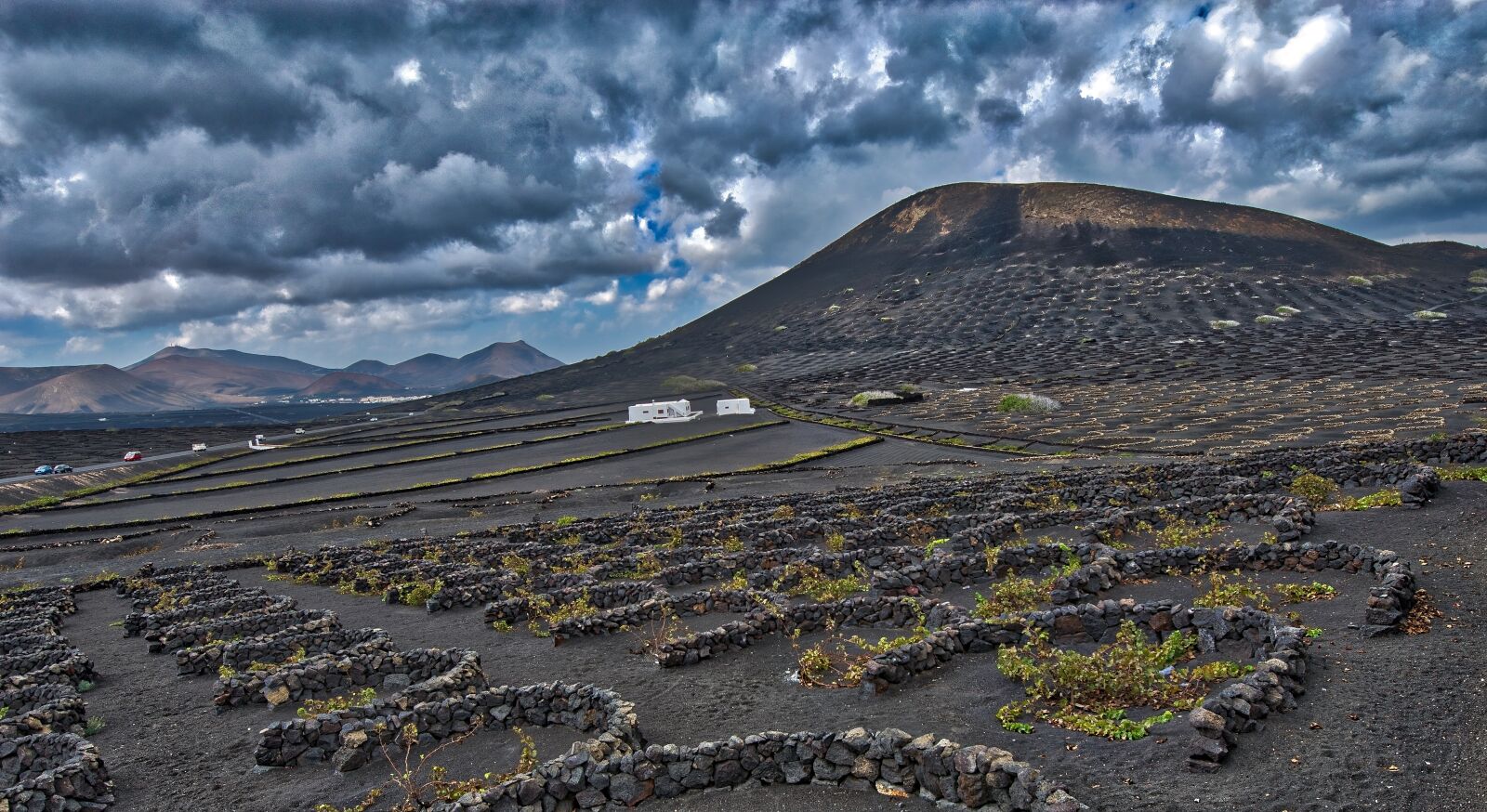 Nikon D800 sample photo. Mountain, wine maker, vines photography