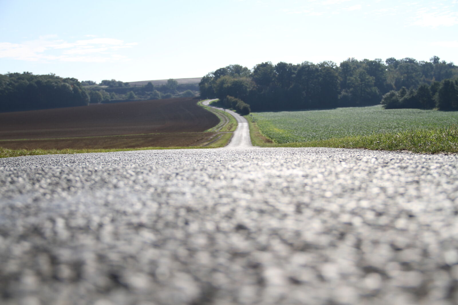 Canon EOS 7D sample photo