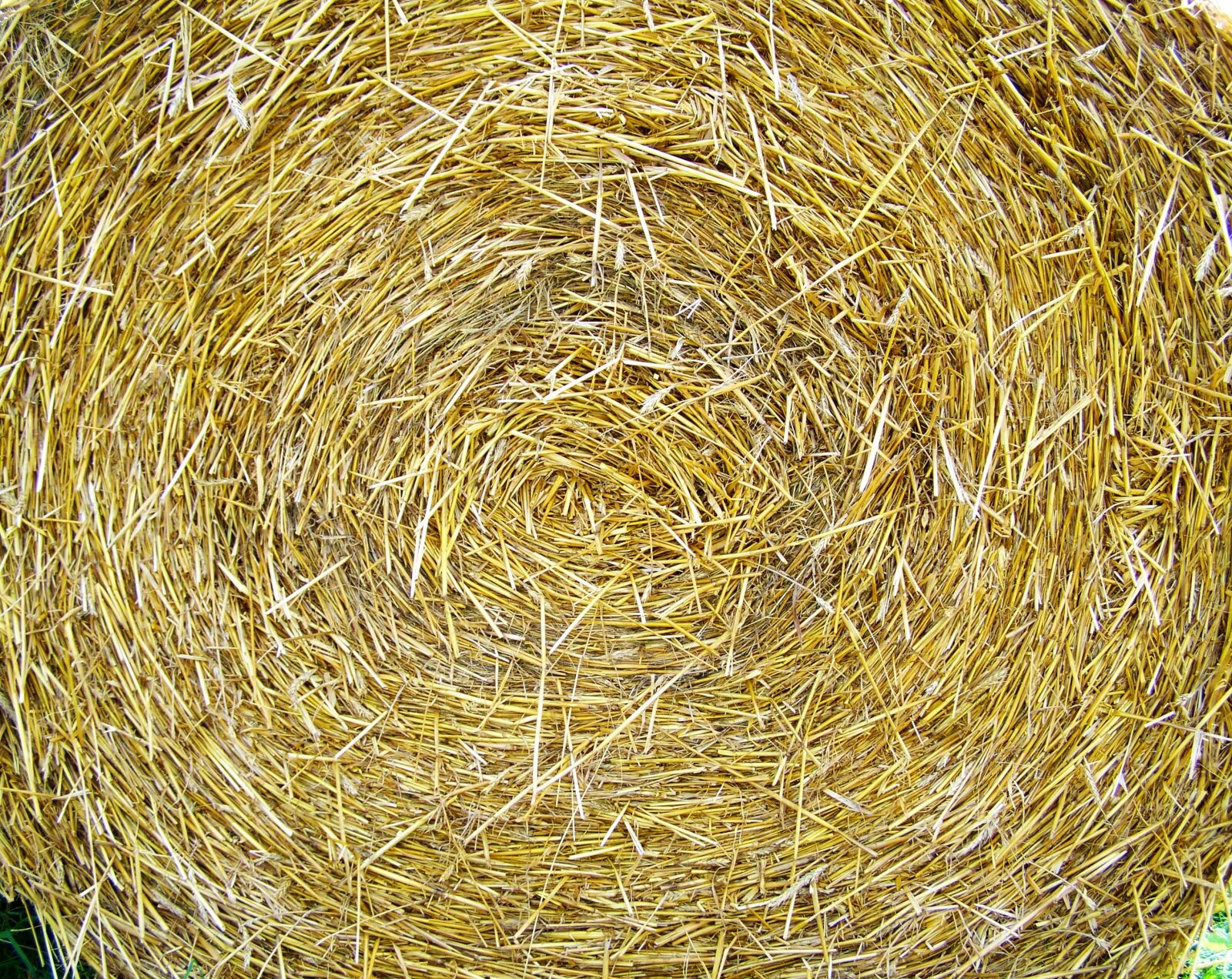 Kodak EASYSHARE ZD710 ZOOM DIGITAL CAMERA sample photo. Straw bale, works, compressed photography