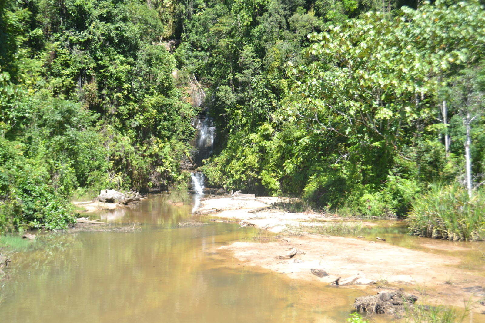 Nikon D3100 sample photo