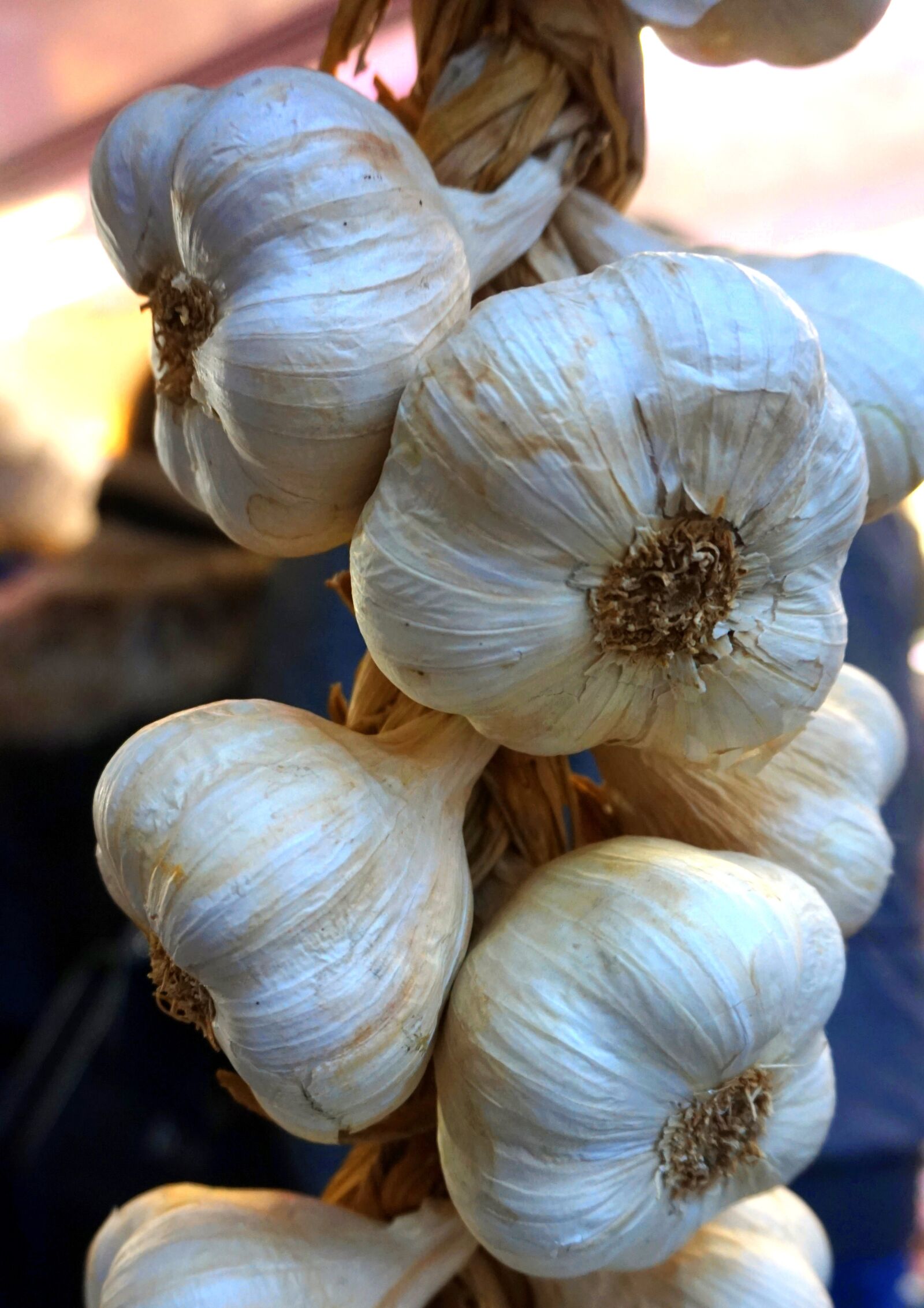 Sony E 16-50mm F3.5-5.6 PZ OSS sample photo. Garlic, fresh, healthy photography