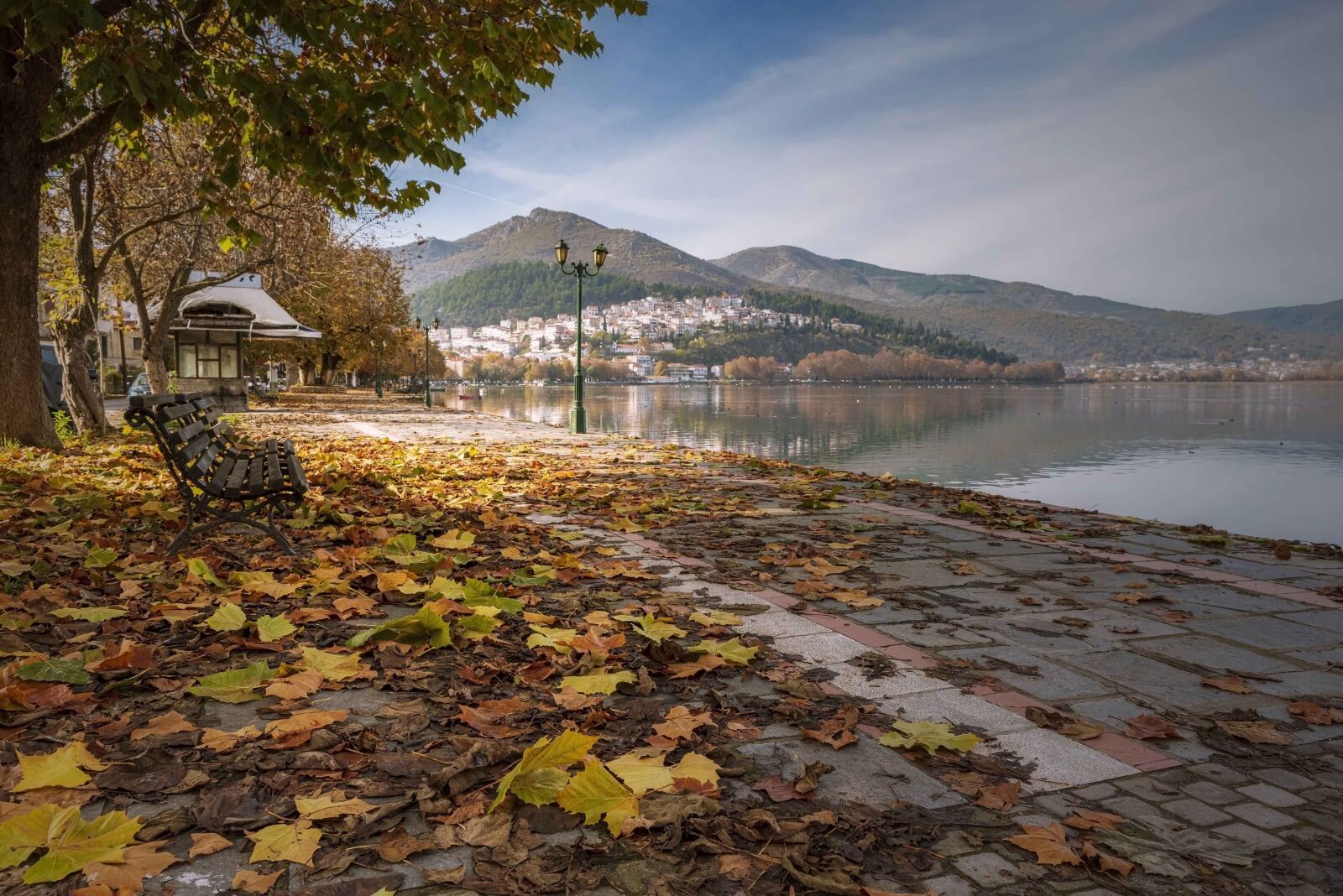 Tamron SP 24-70mm F2.8 Di VC USD sample photo. Kastoria, lake, autumn photography