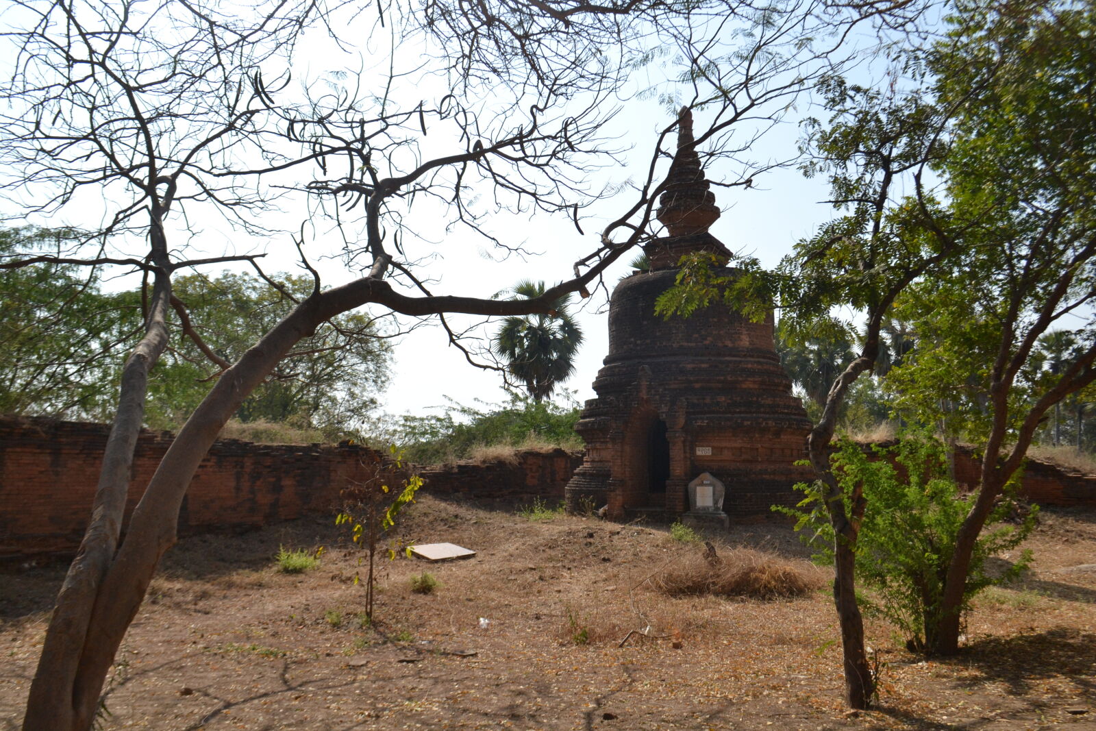 Nikon D3100 sample photo