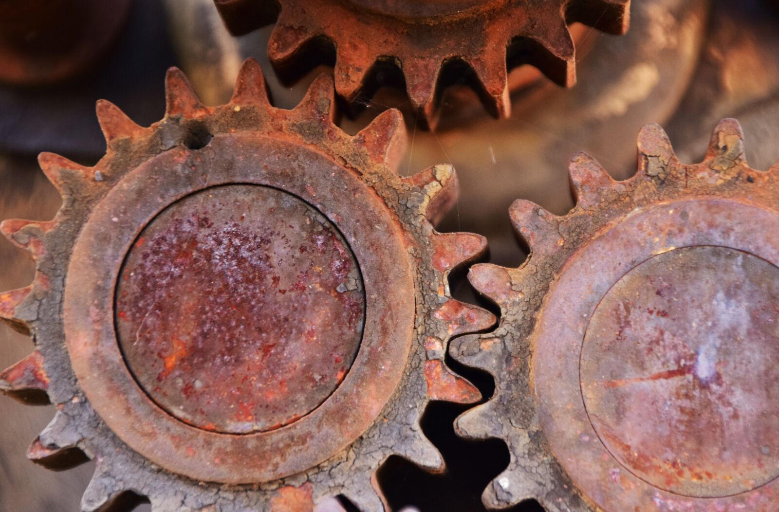 Nikon D3300 sample photo. Gear, metal, rust photography