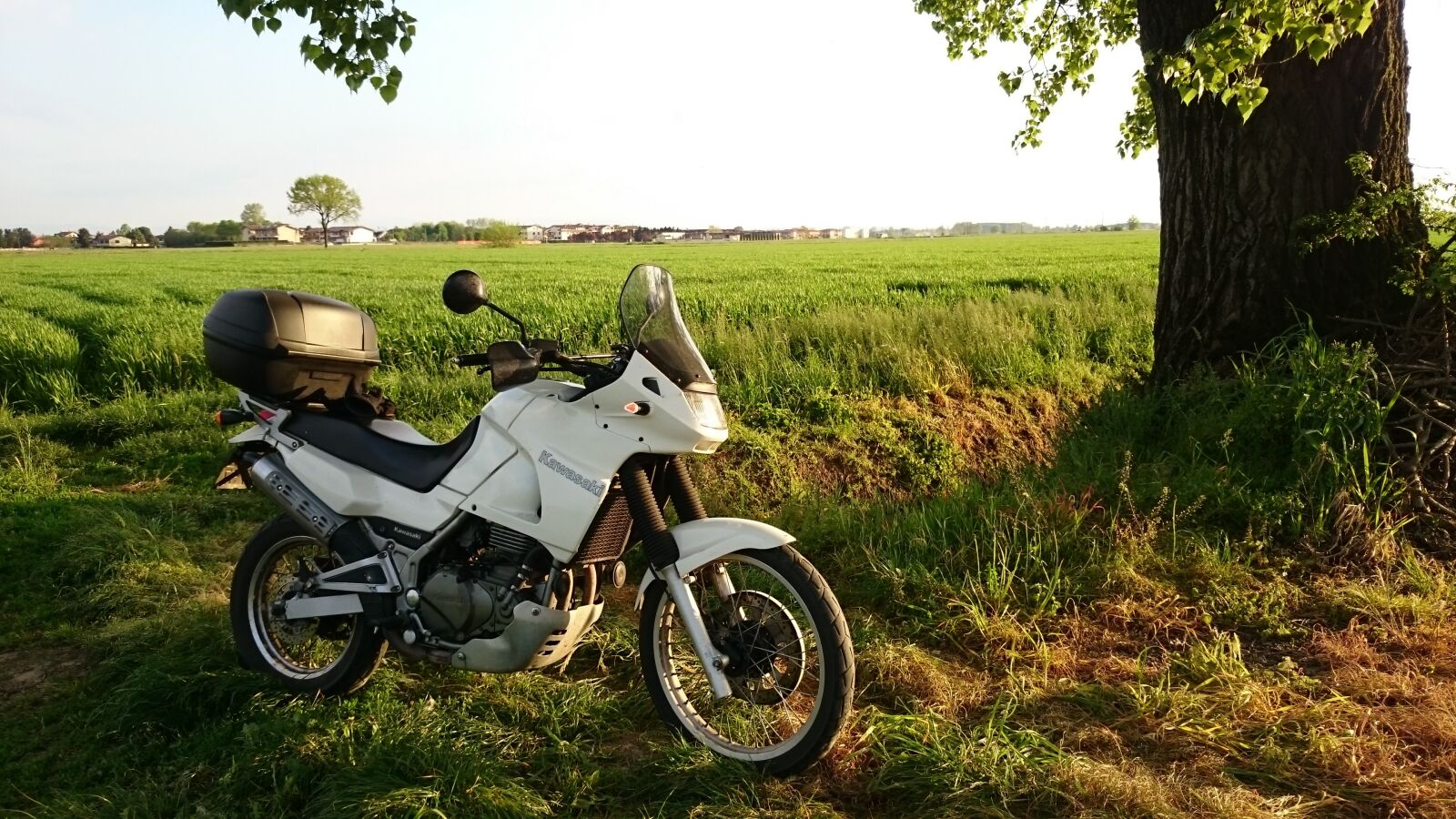 Sony Xperia Z1 sample photo. Moto, tree, field photography