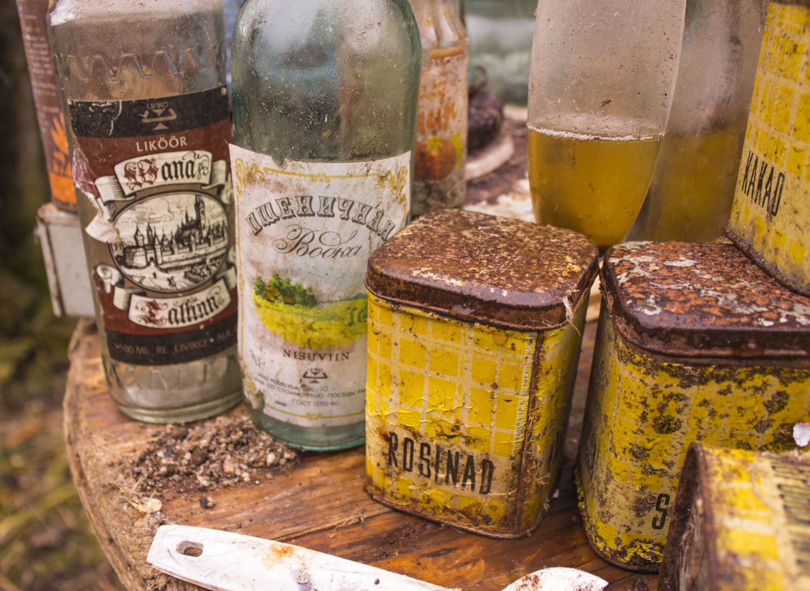 Canon EOS 600D (Rebel EOS T3i / EOS Kiss X5) sample photo. Soviet, abandoned, old photography