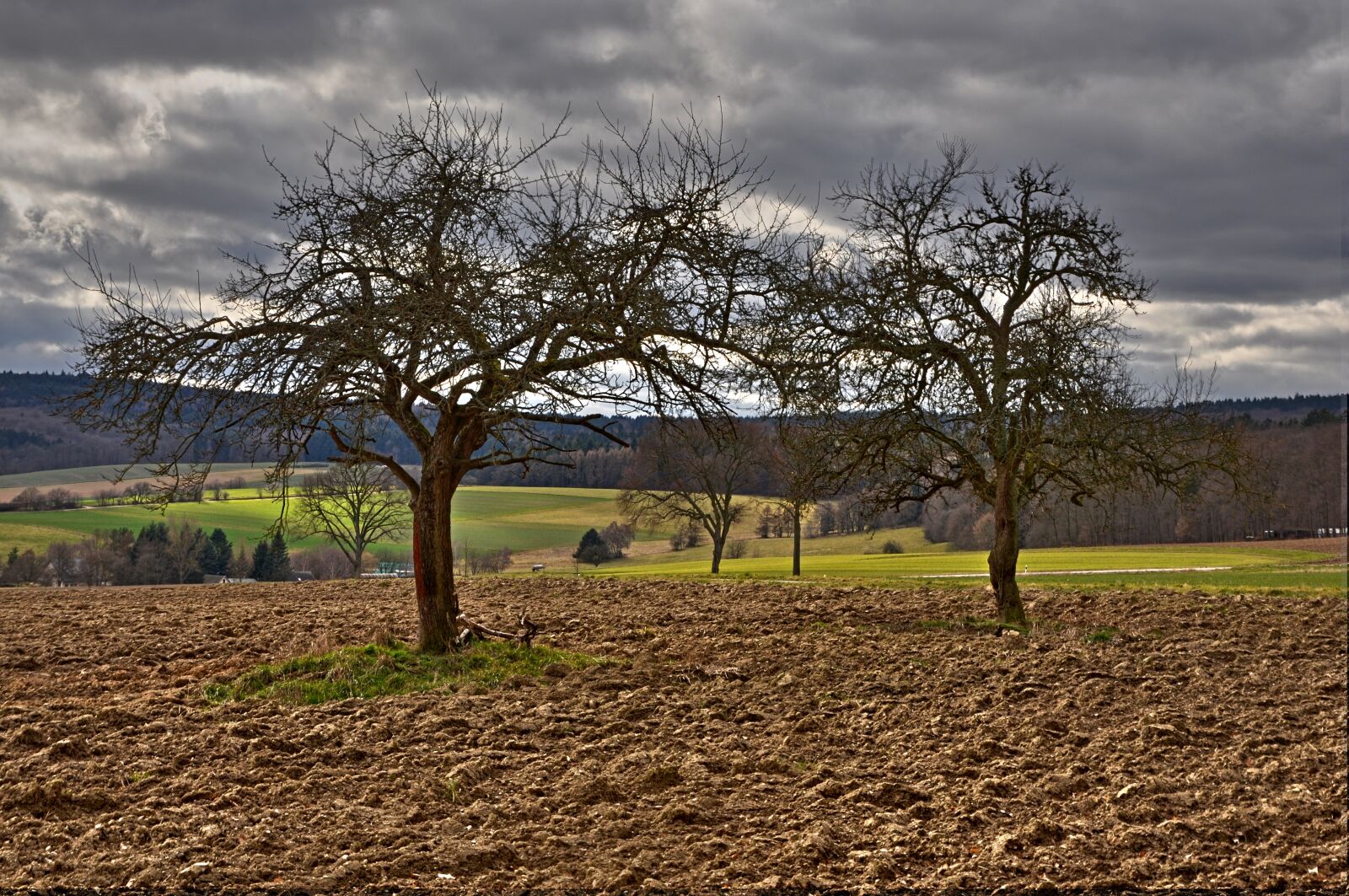 Nikon D90 sample photo. Agriculture, field, arable photography