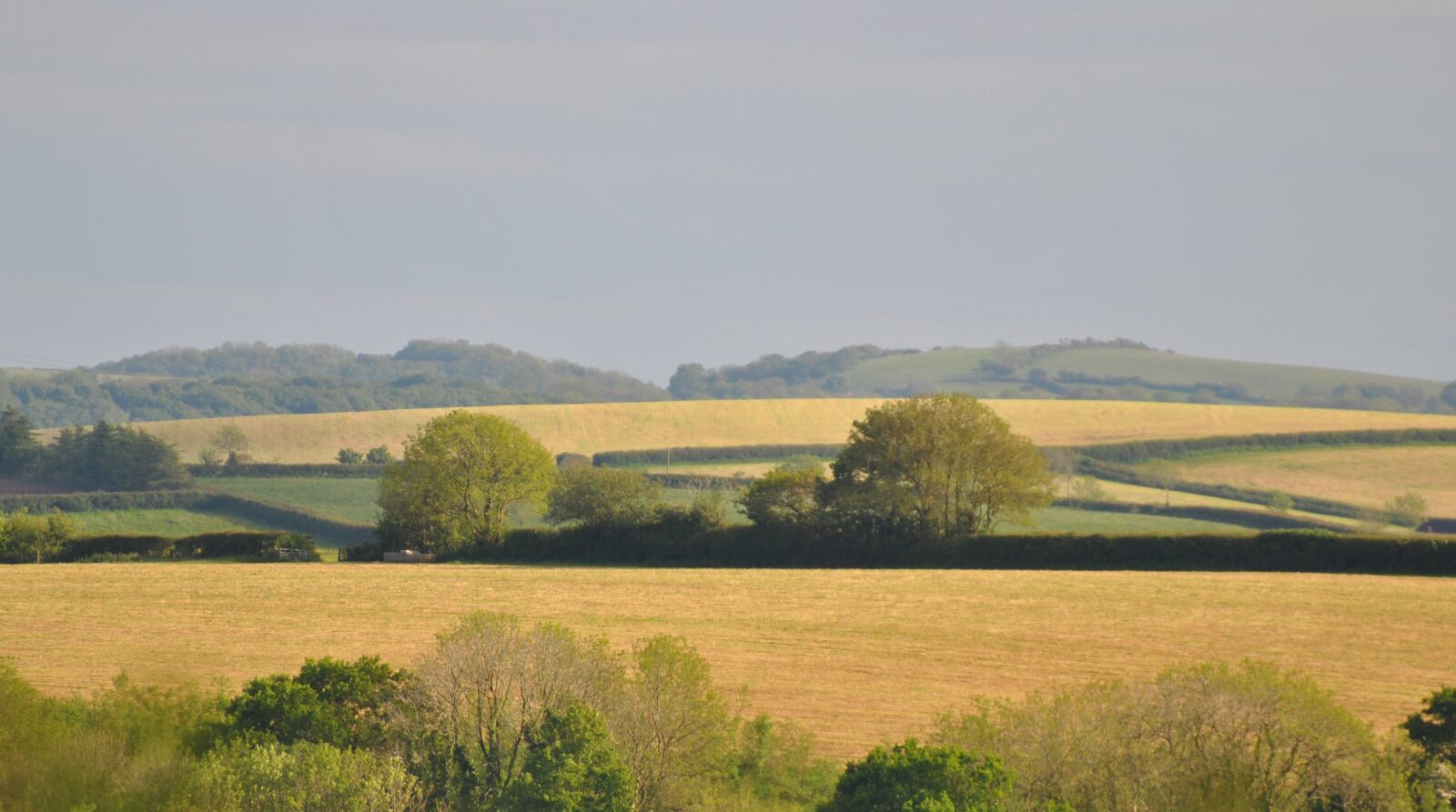 Nikon D3000 sample photo. Hayfield, field, farm photography