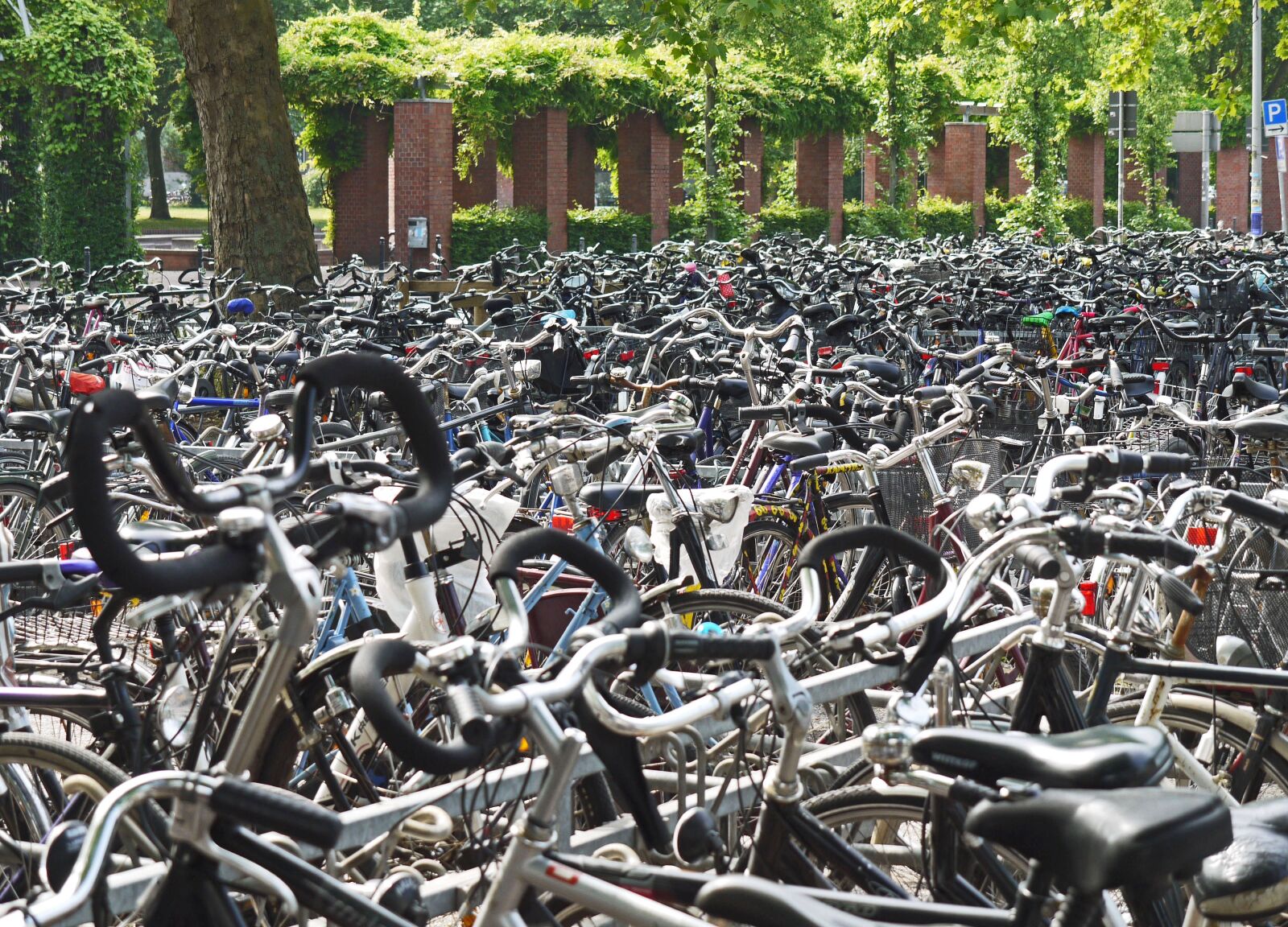 Panasonic Lumix DMC-G1 sample photo. Cyclemania, abstellanlage, bike racks photography