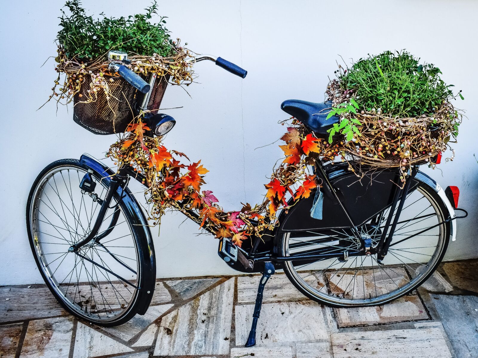 Nikon D3300 sample photo. Bicycle, vine, herbal photography