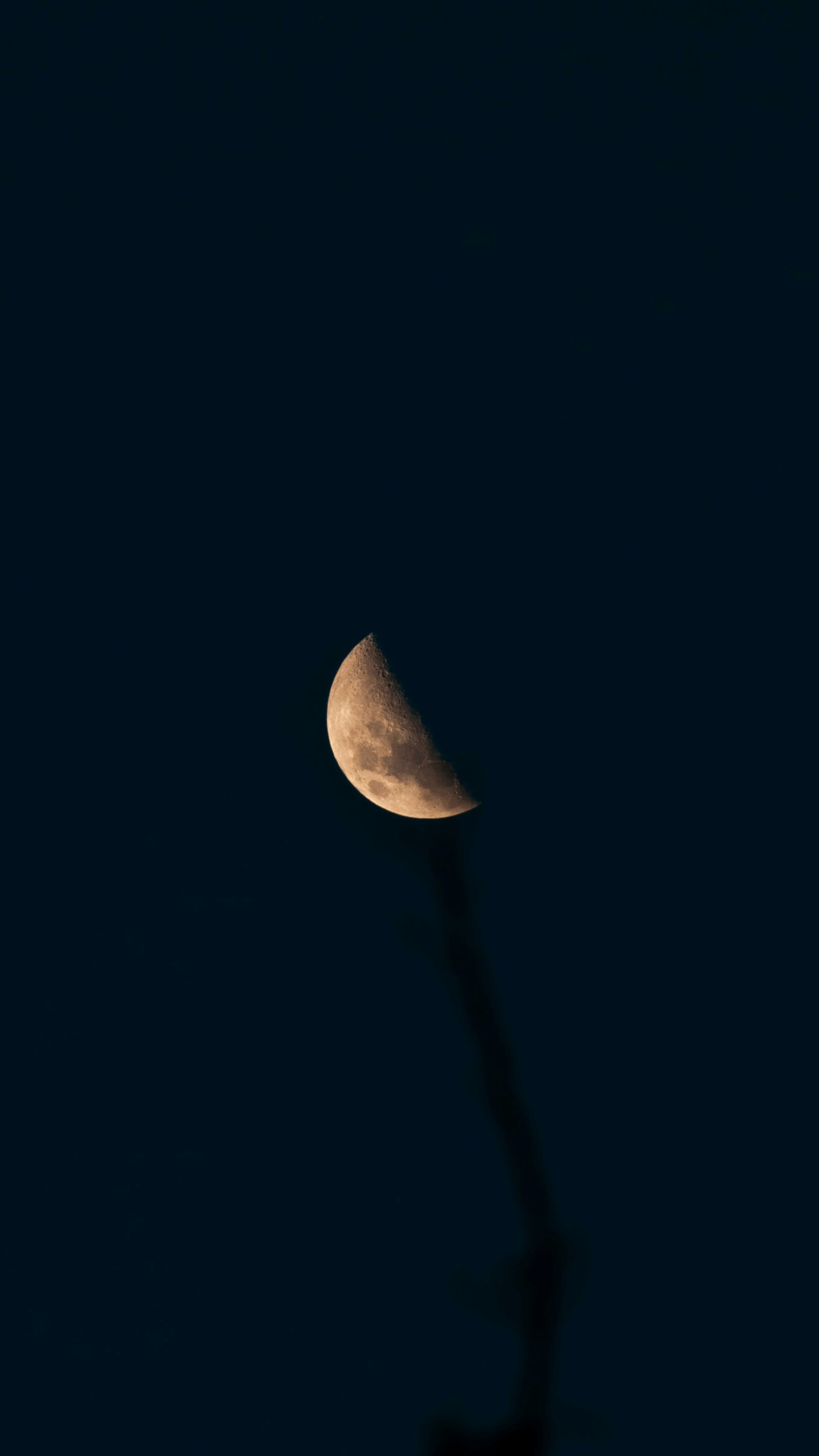 Nikon D300 sample photo