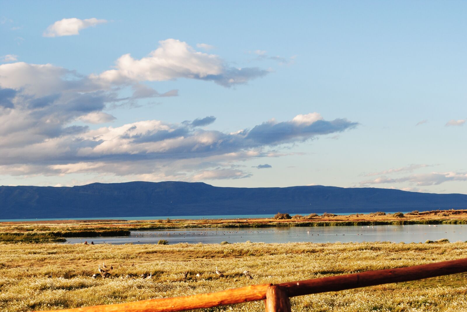 Nikon D3000 sample photo. Argentina, calafate, patagonia photography