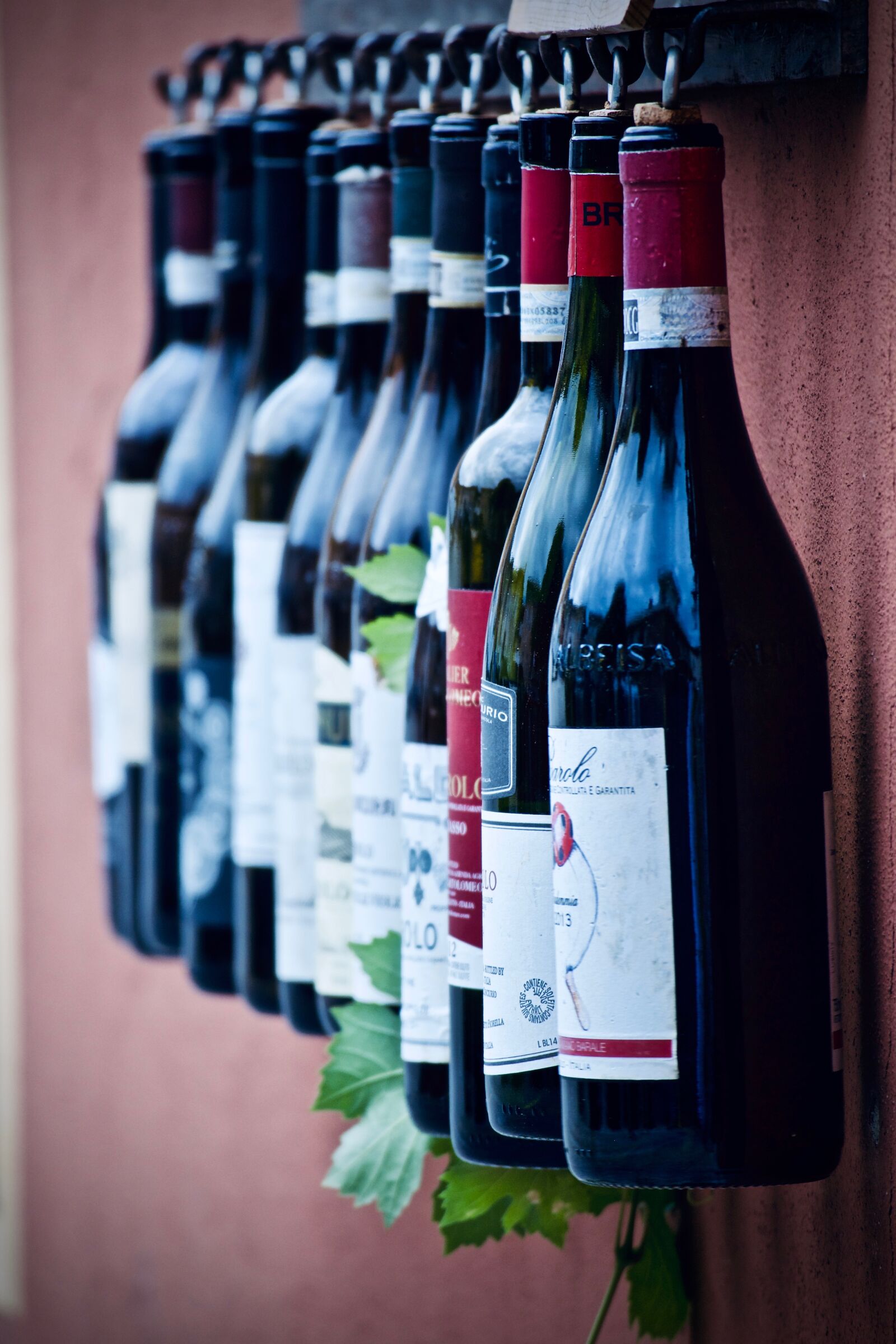 Canon EOS M sample photo. Wine, bottles, drinks photography
