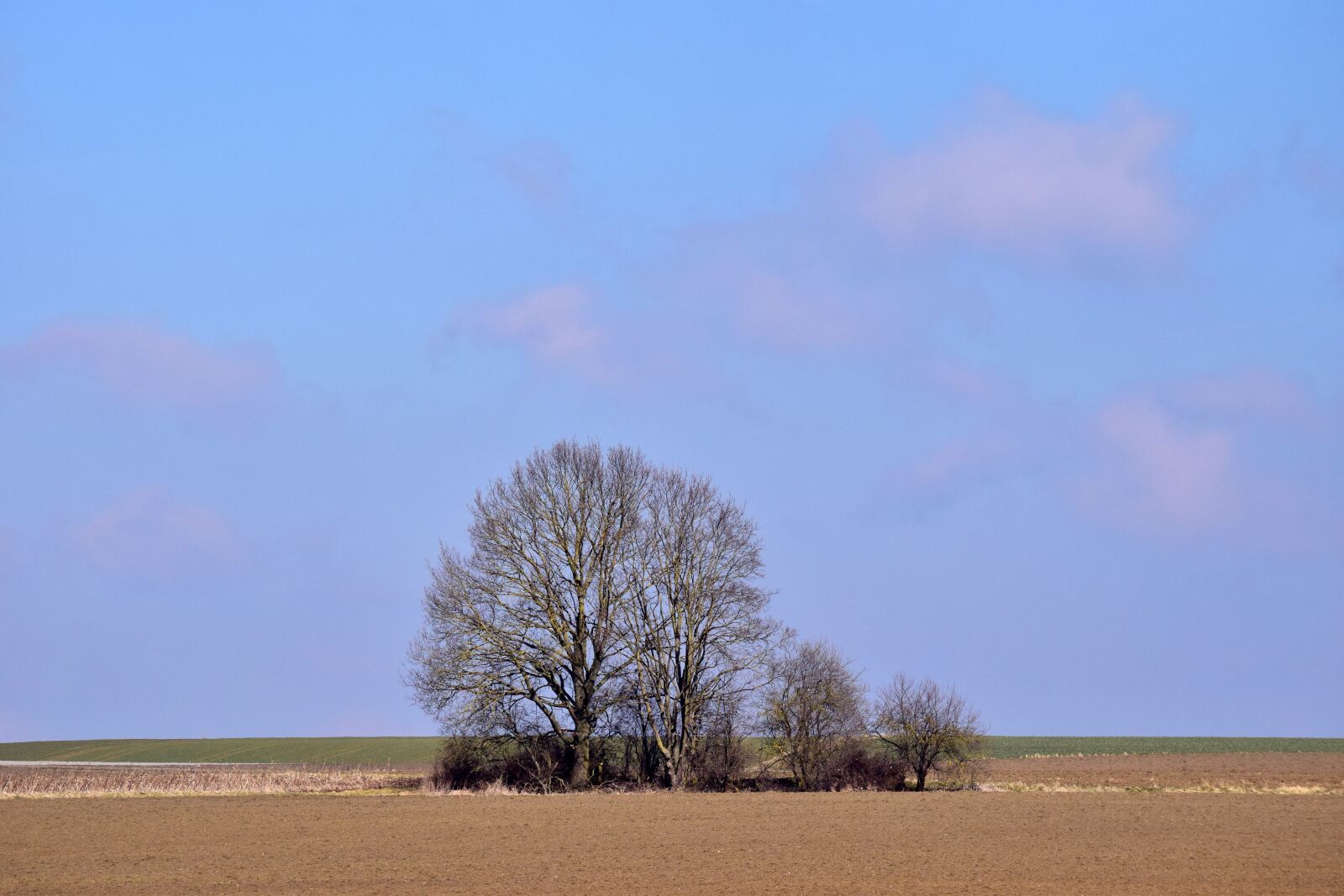 Nikon D3300 sample photo. Nature, sky, landscape photography