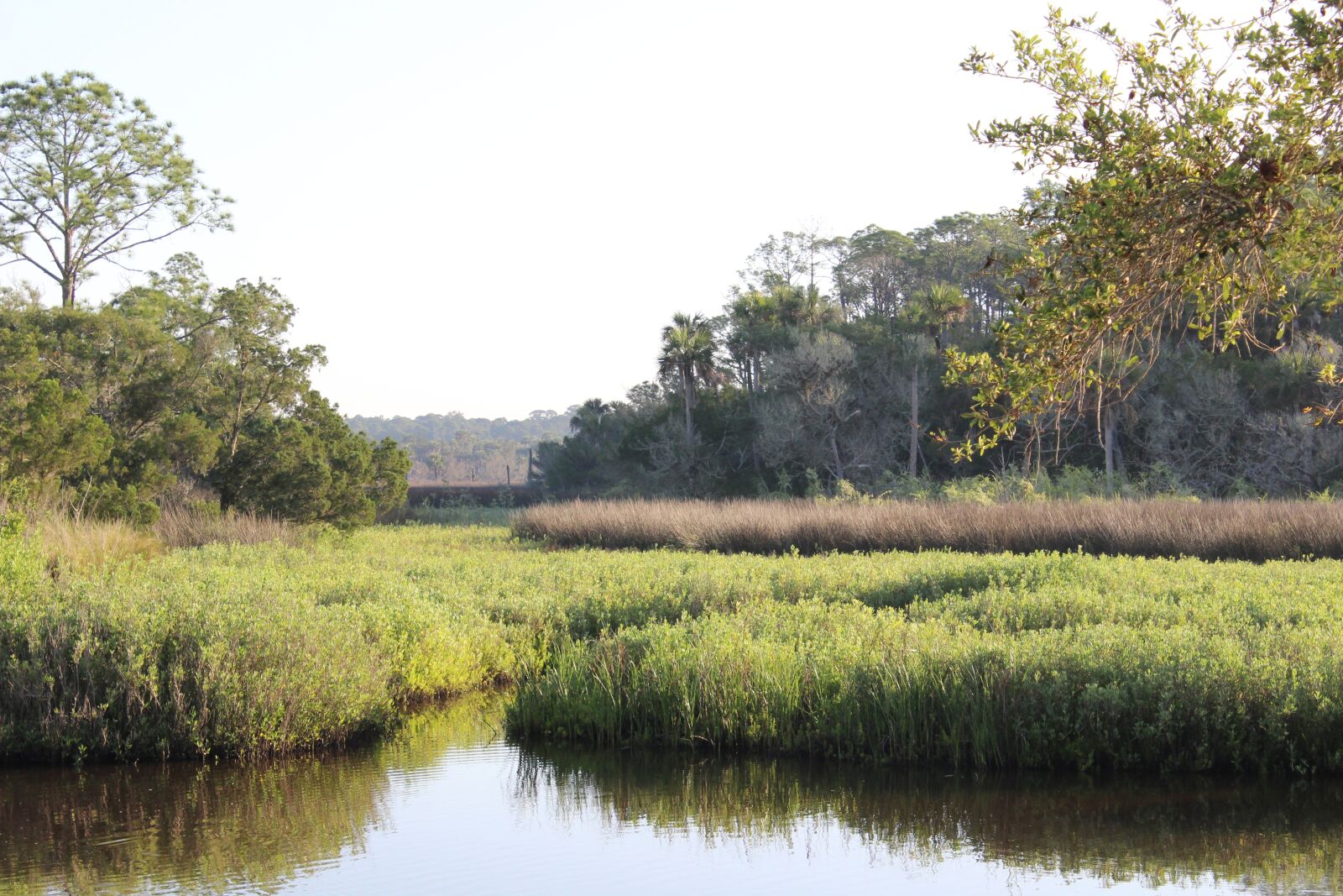 Canon EOS 600D (Rebel EOS T3i / EOS Kiss X5) sample photo. Tomoka, marsh, water photography
