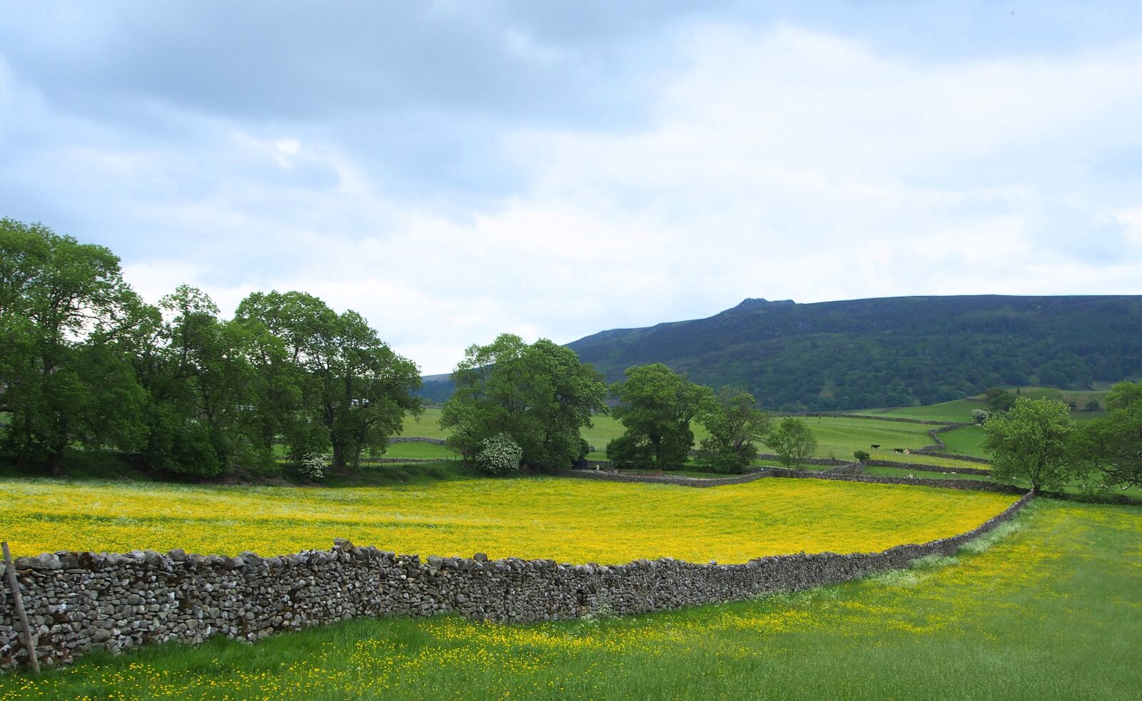 Olympus OM-D E-M5 sample photo. Simon's seat, walled fields photography