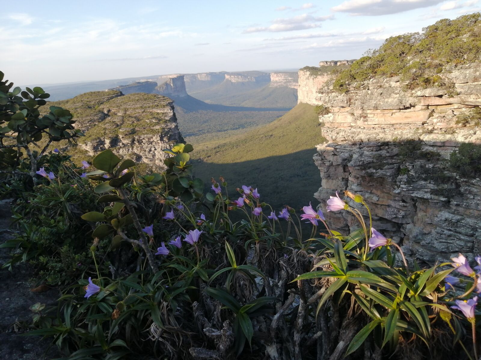 HUAWEI P30 LITE sample photo. Morro do pai, bahia photography