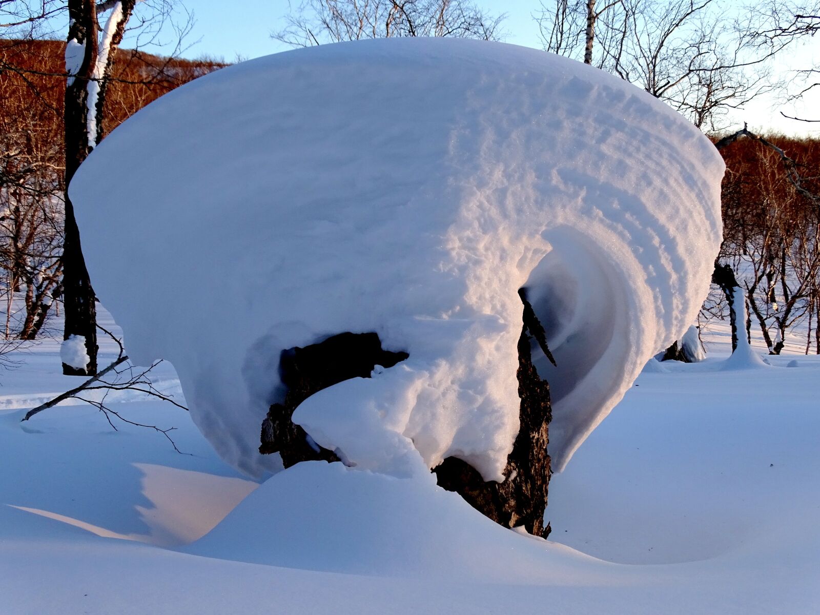 Sony DSC-HX400 sample photo. Forest, snowdrift, snow cap photography