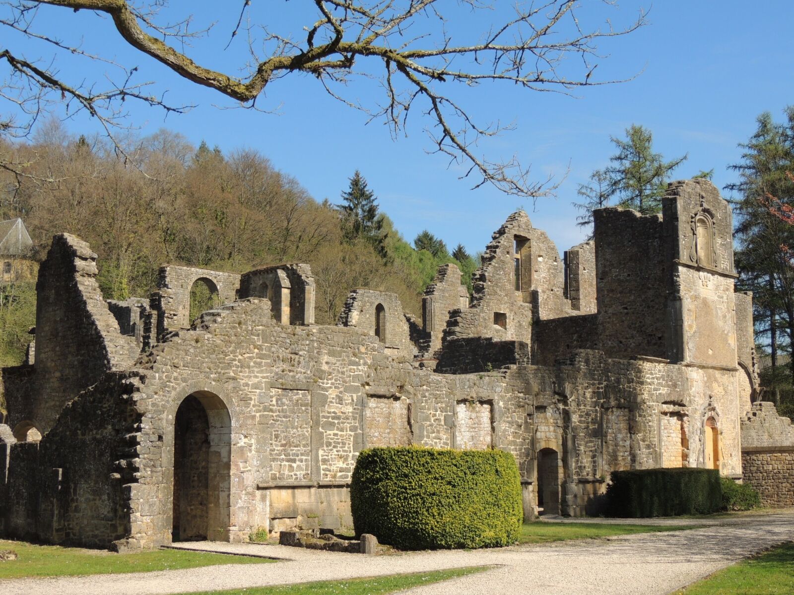 Nikon Coolpix P510 sample photo. Ruin, abbey, middle ages photography