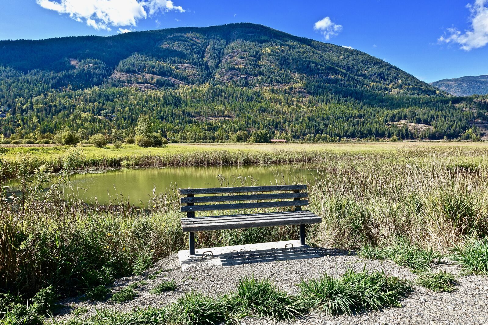 Sony Cyber-shot DSC-RX100 III sample photo. Seat, bench, wooden photography