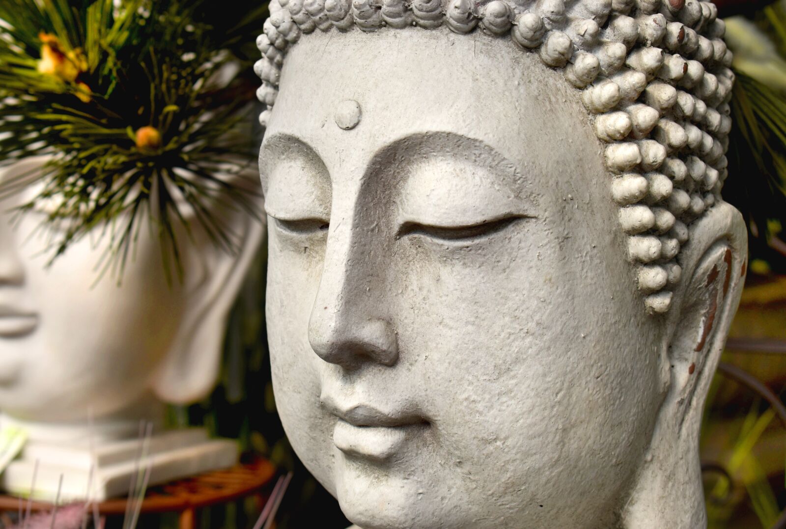 Nikon D5600 sample photo. Serenity, buddha, meditation photography