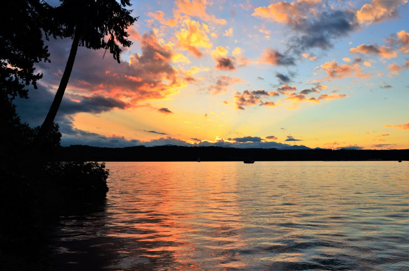 Nikon D5100 sample photo. Waterfront, sunset, summer photography