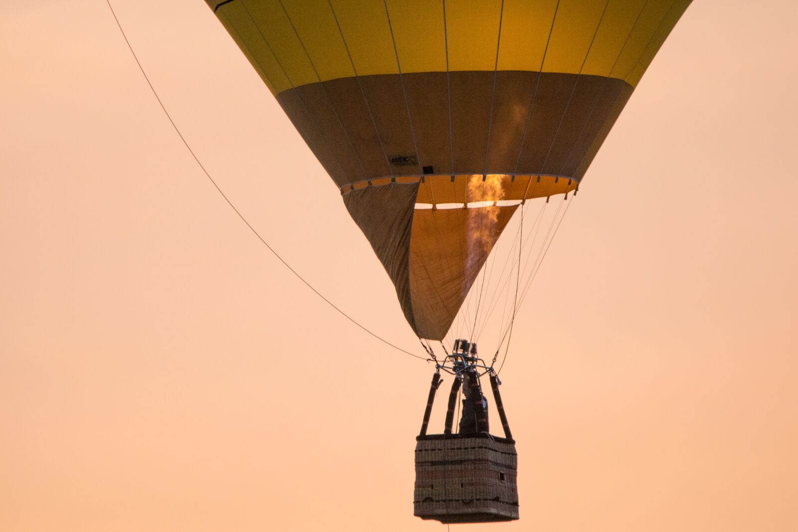 Canon EOS M100 sample photo. Hot air balloon, montgolfiade photography