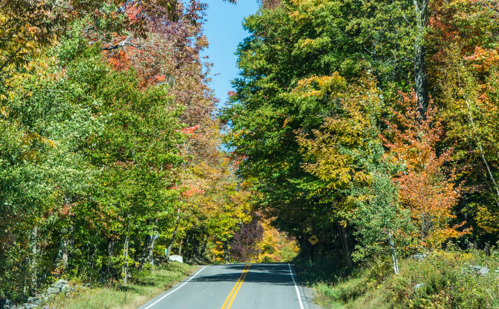 Sony a7R II sample photo. Country road, new england photography