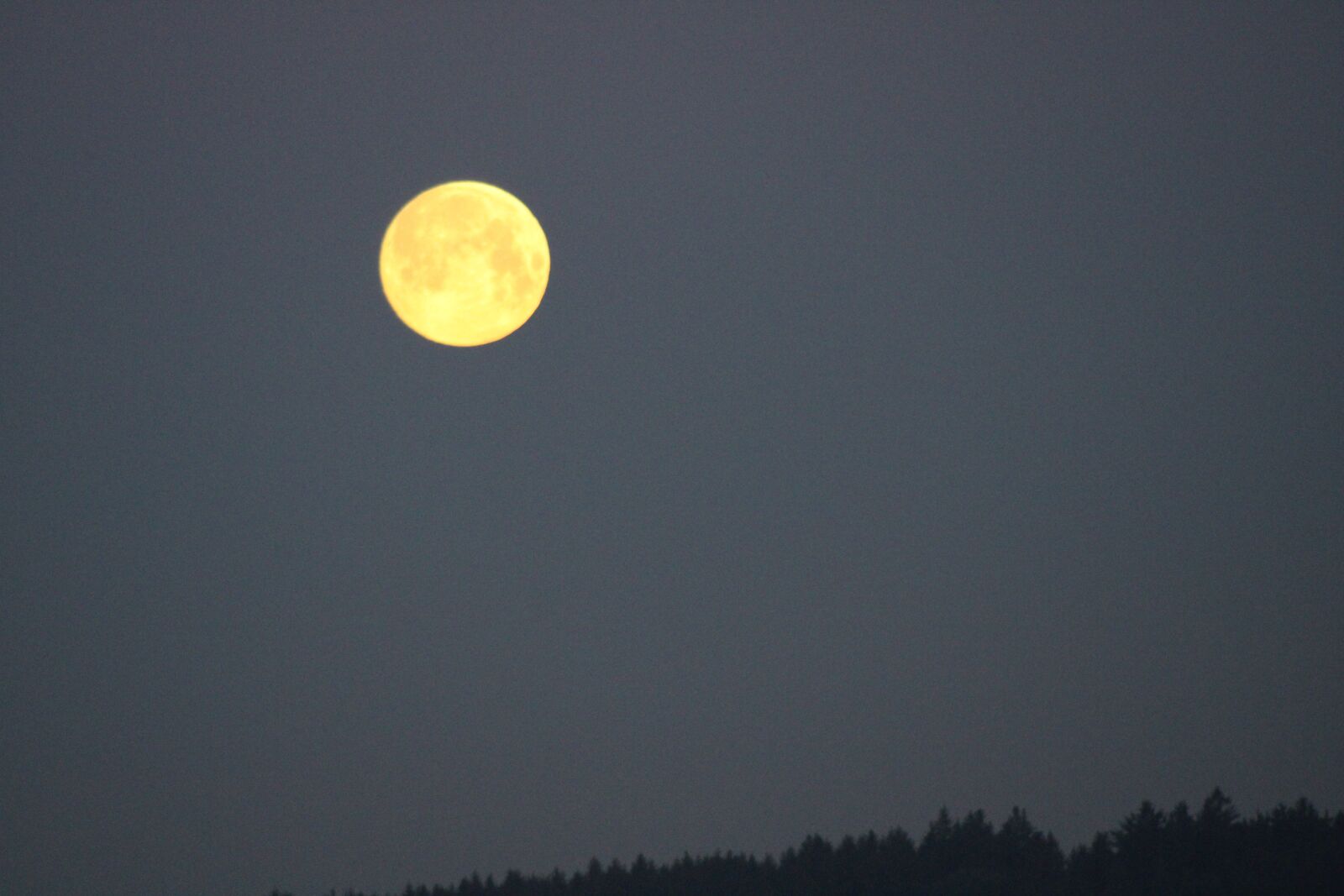 Canon EF75-300mm f/4-5.6 sample photo. Full moon, evening, night photography