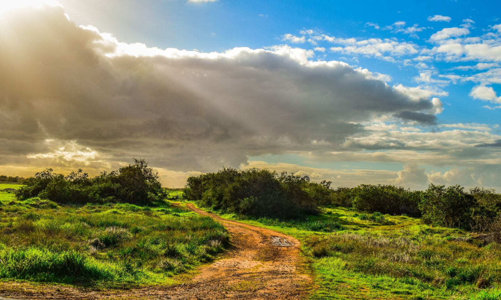 Nikon D3300 sample photo. Dirt road, countryside, landscape photography