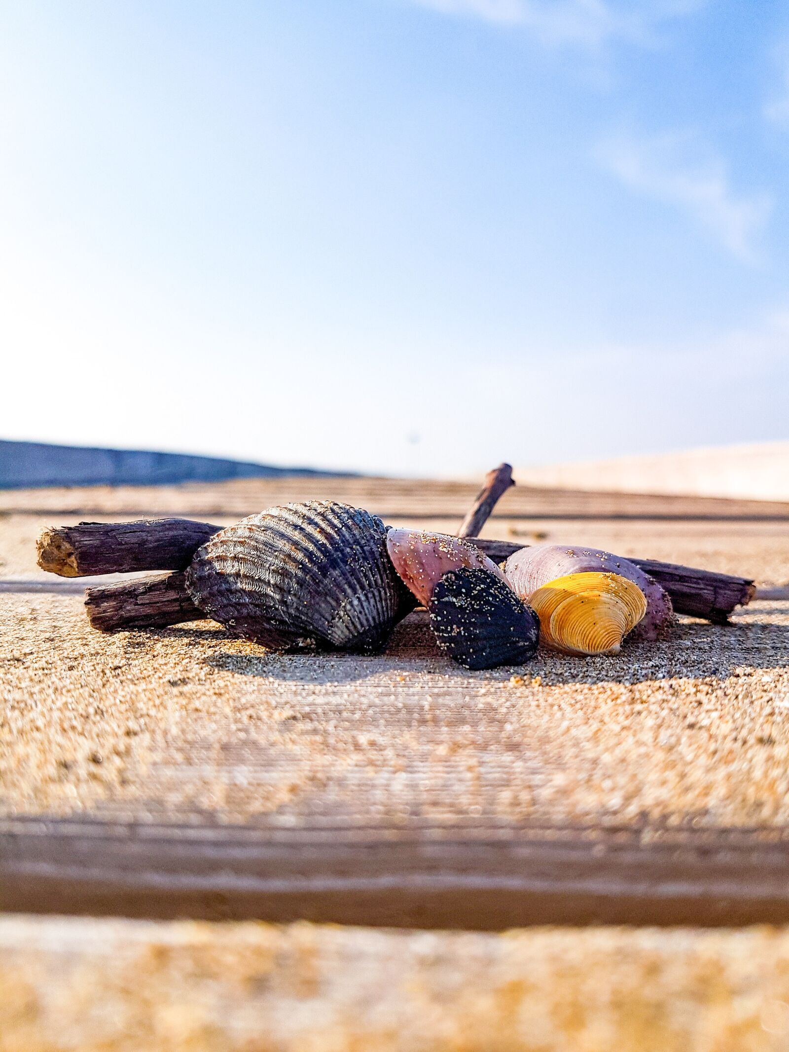 Samsung Galaxy S7 Rear Camera sample photo. Italy, beach, mussels photography