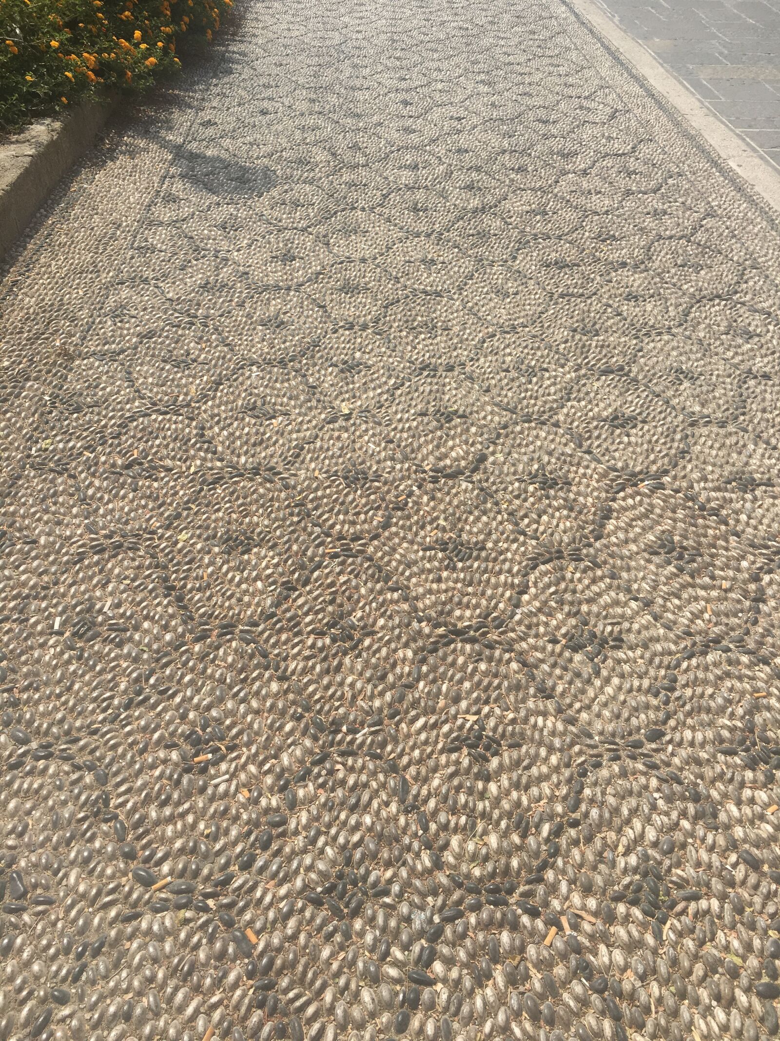 iPhone 6s Plus back camera 4.15mm f/2.2 sample photo