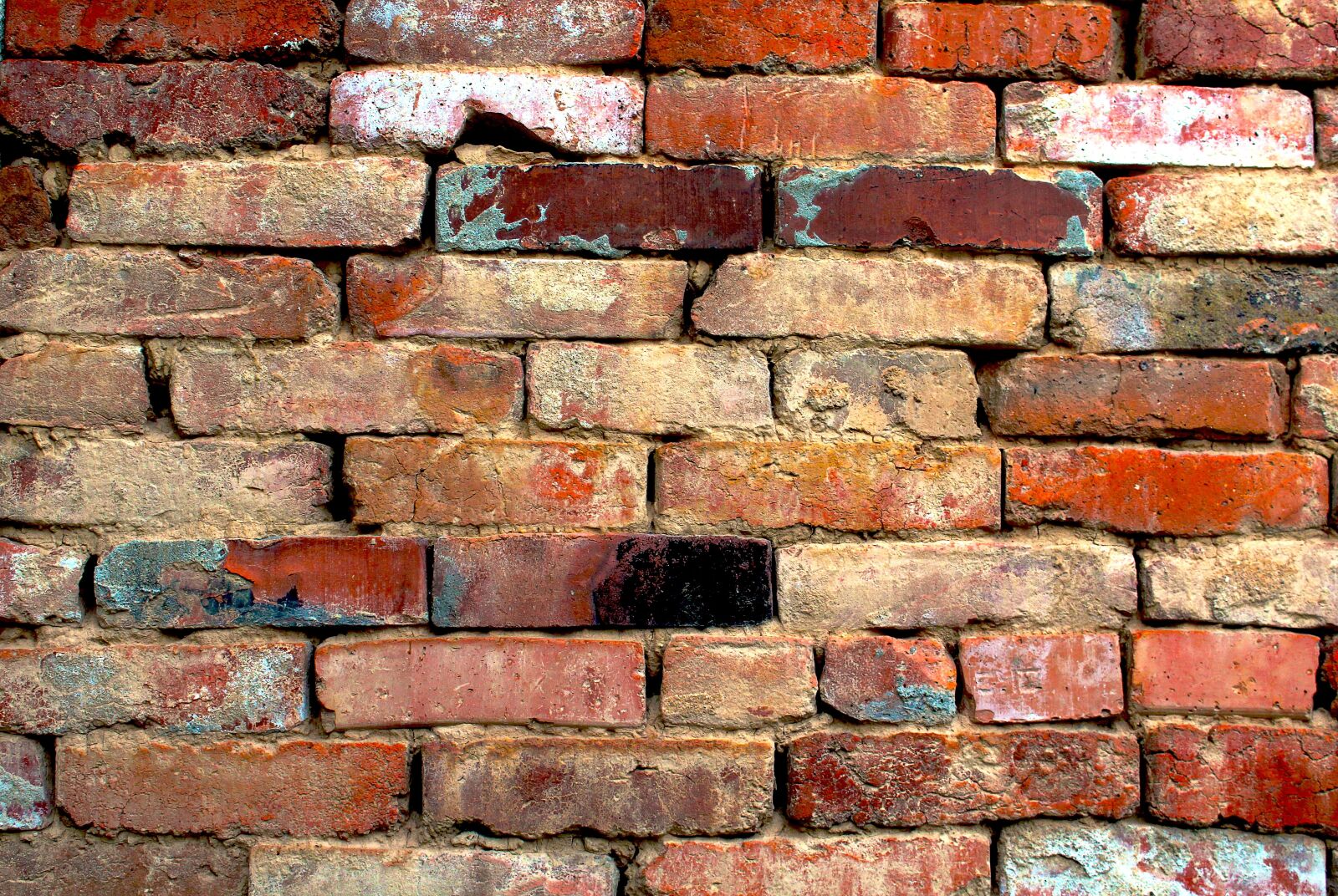 Canon EOS 1200D (EOS Rebel T5 / EOS Kiss X70 / EOS Hi) sample photo. Brick, wall, brick wall photography