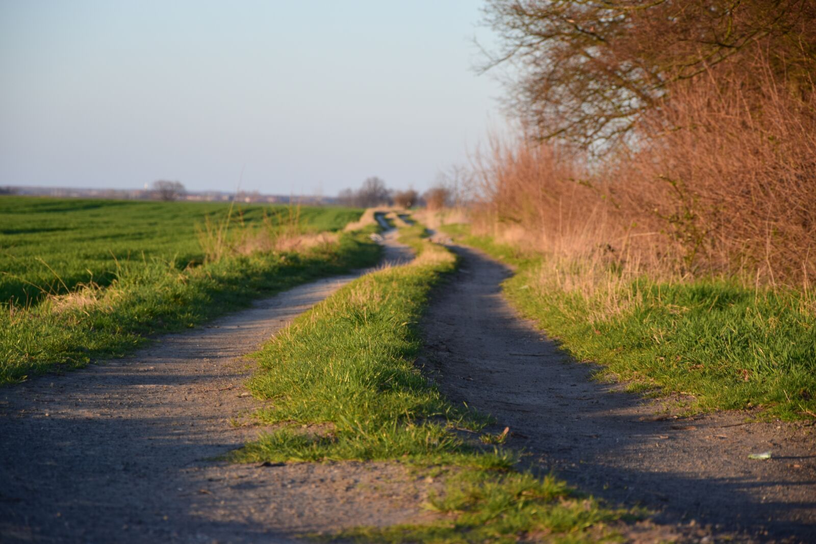 Nikon D3300 sample photo. Way, grass, landscape photography