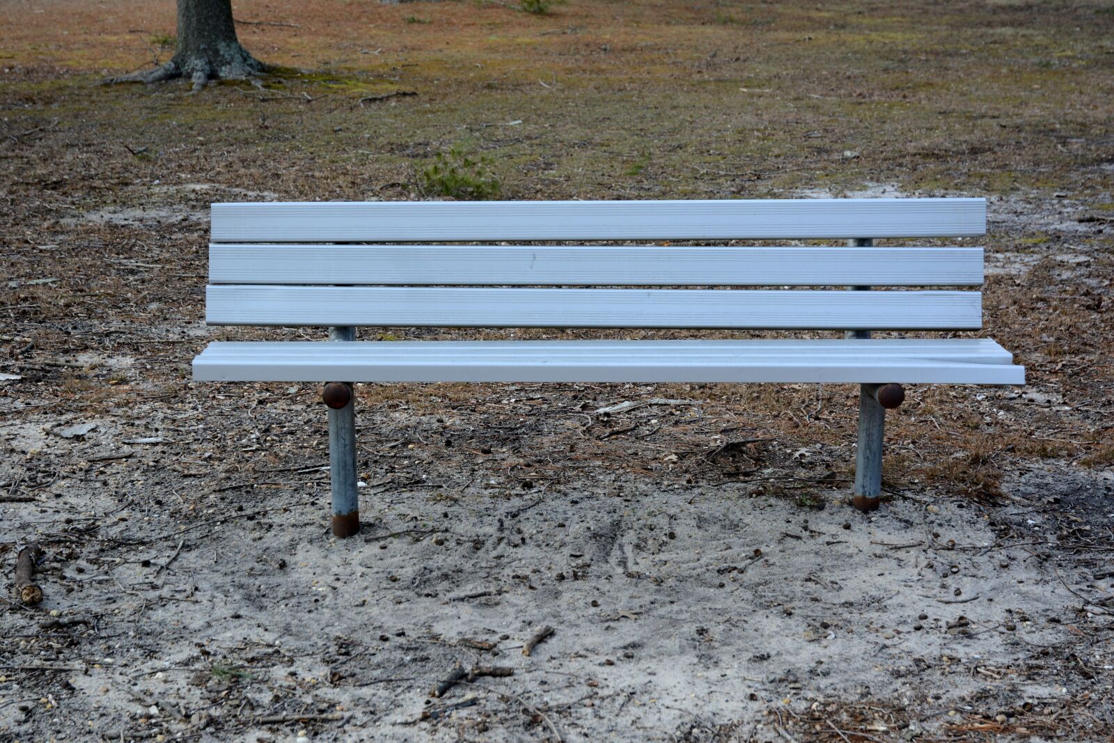Nikon D5200 sample photo. Bench, seat, park photography