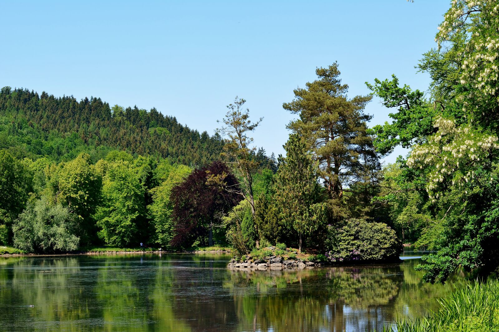 Nikon D5200 sample photo. Parklandschaft, park lake, thuringia photography