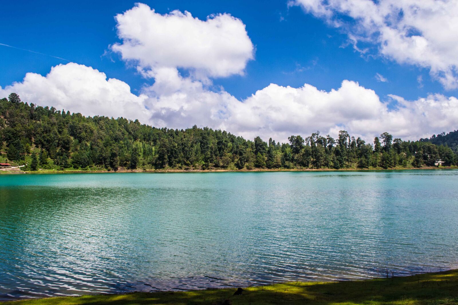 Nikon D3100 sample photo. Water, forest, blue sky photography