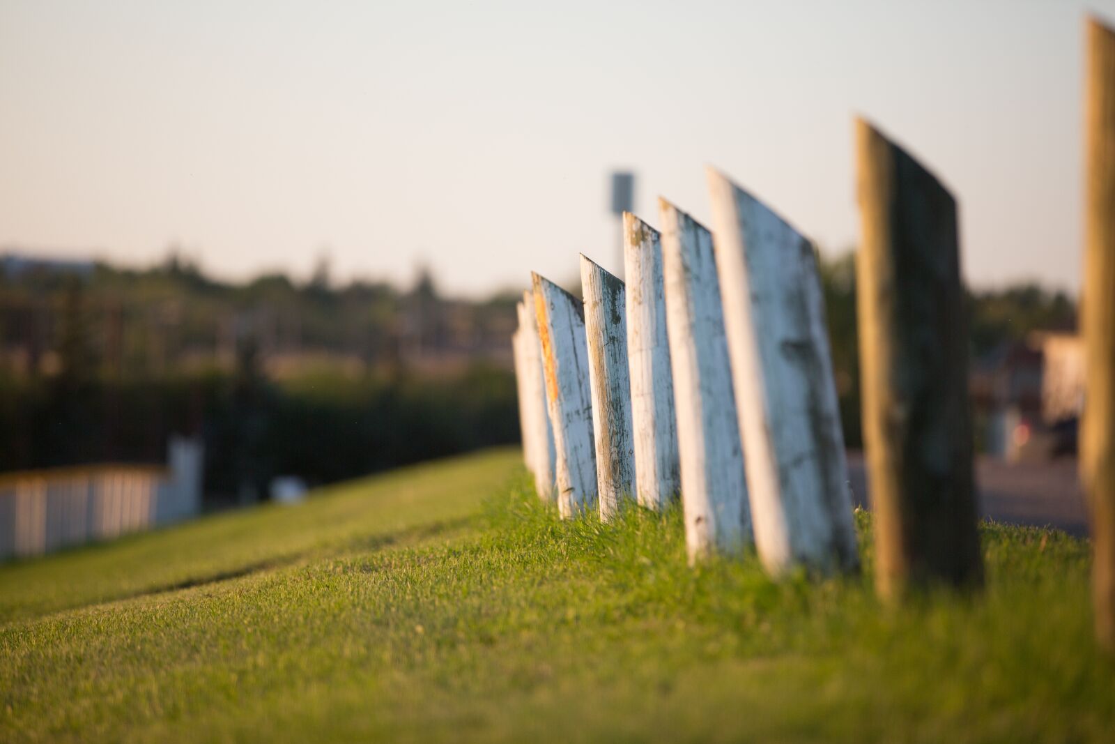Canon EOS 5D Mark III sample photo. Landscape, fence, green photography