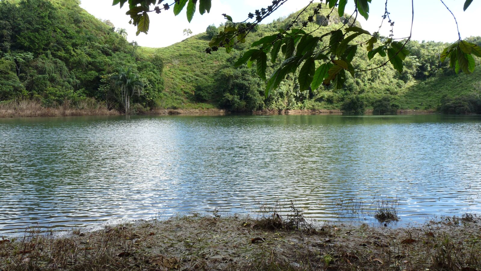 Panasonic Lumix DMC-FZ28 sample photo. Lake, las terrenas, nature photography
