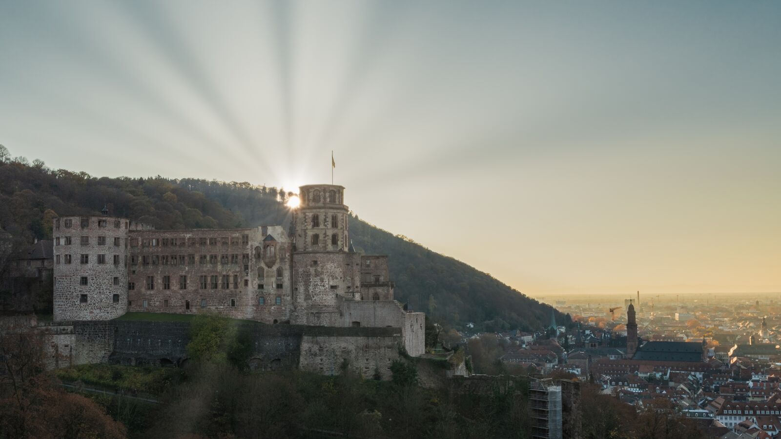 Nikon D7500 sample photo. Sun, castle, heidelberg photography