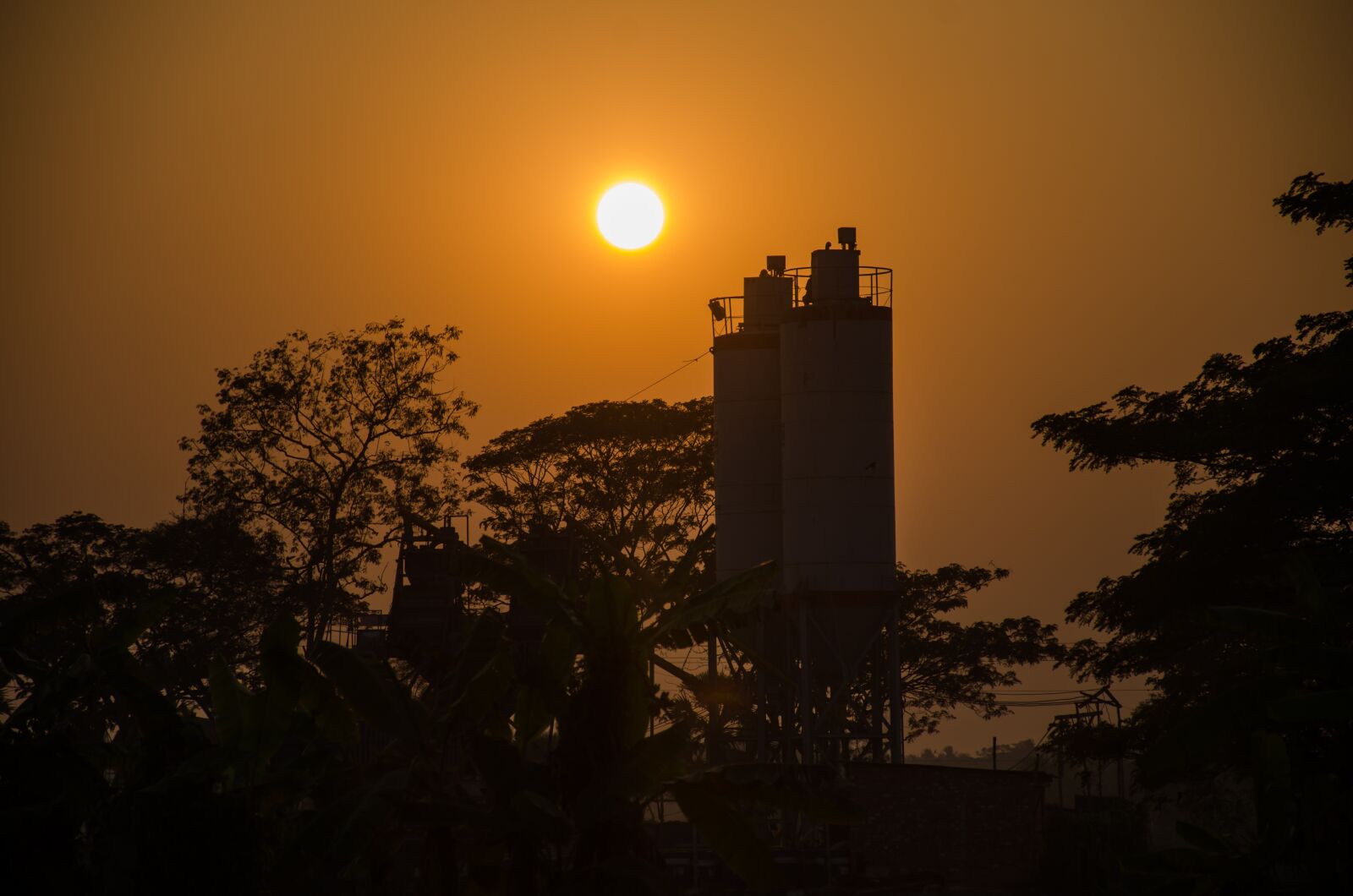 Nikon D7000 sample photo. Sunset, tree, evening photography