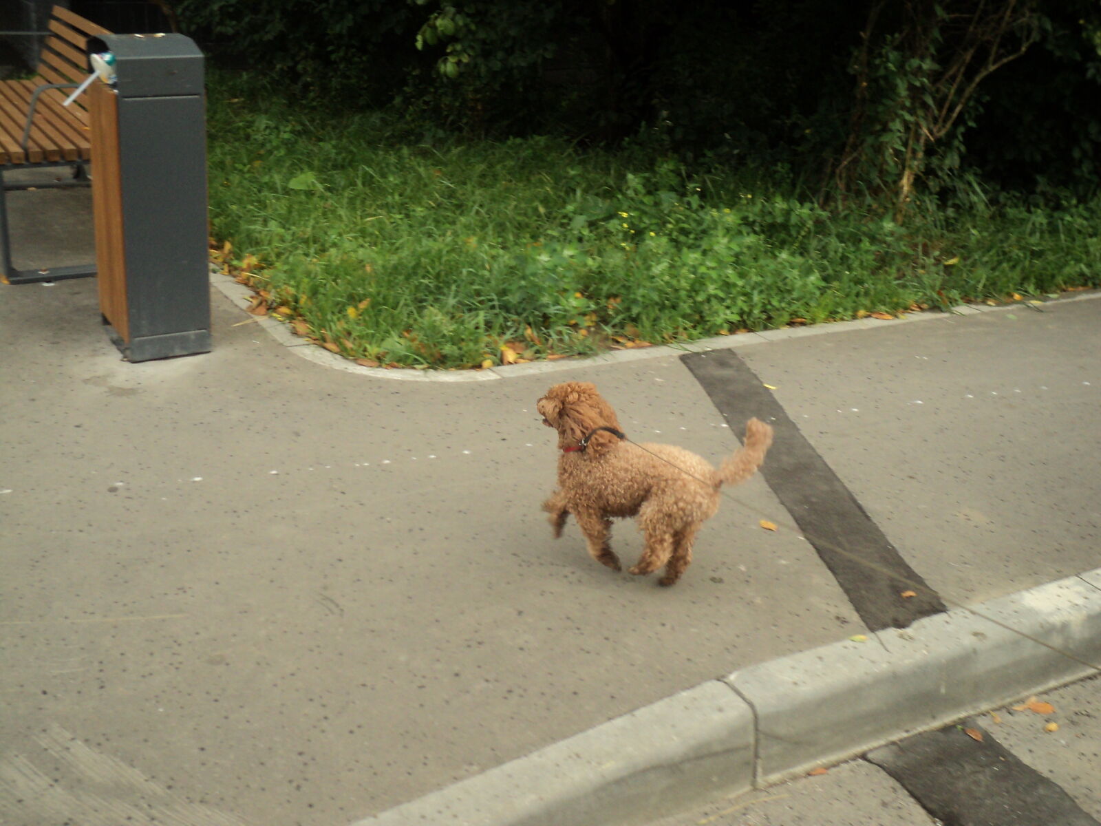 Sony DSC-S2100 sample photo