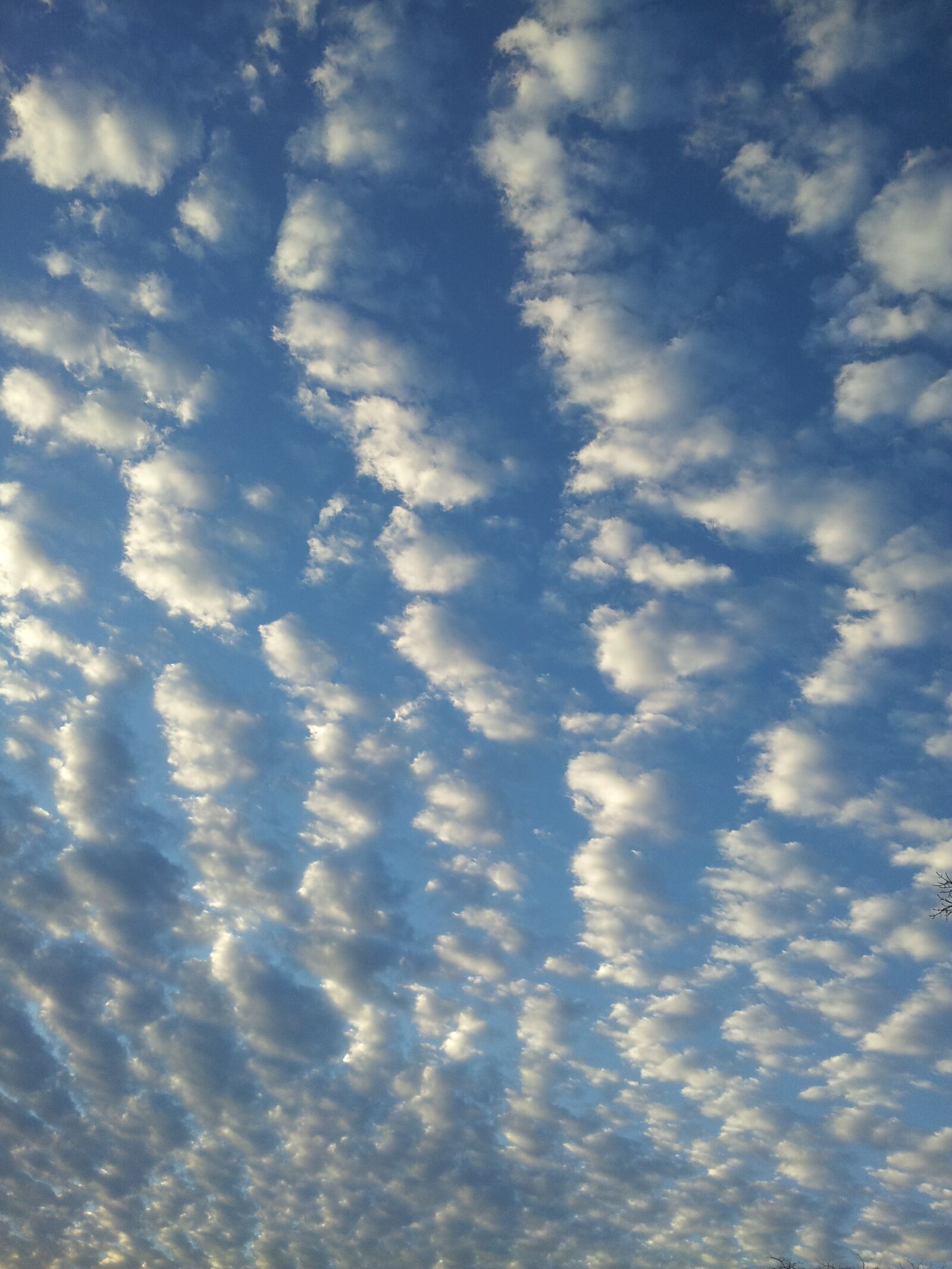 Samsung Galaxy S2 sample photo. Clouds, sky, white clouds photography