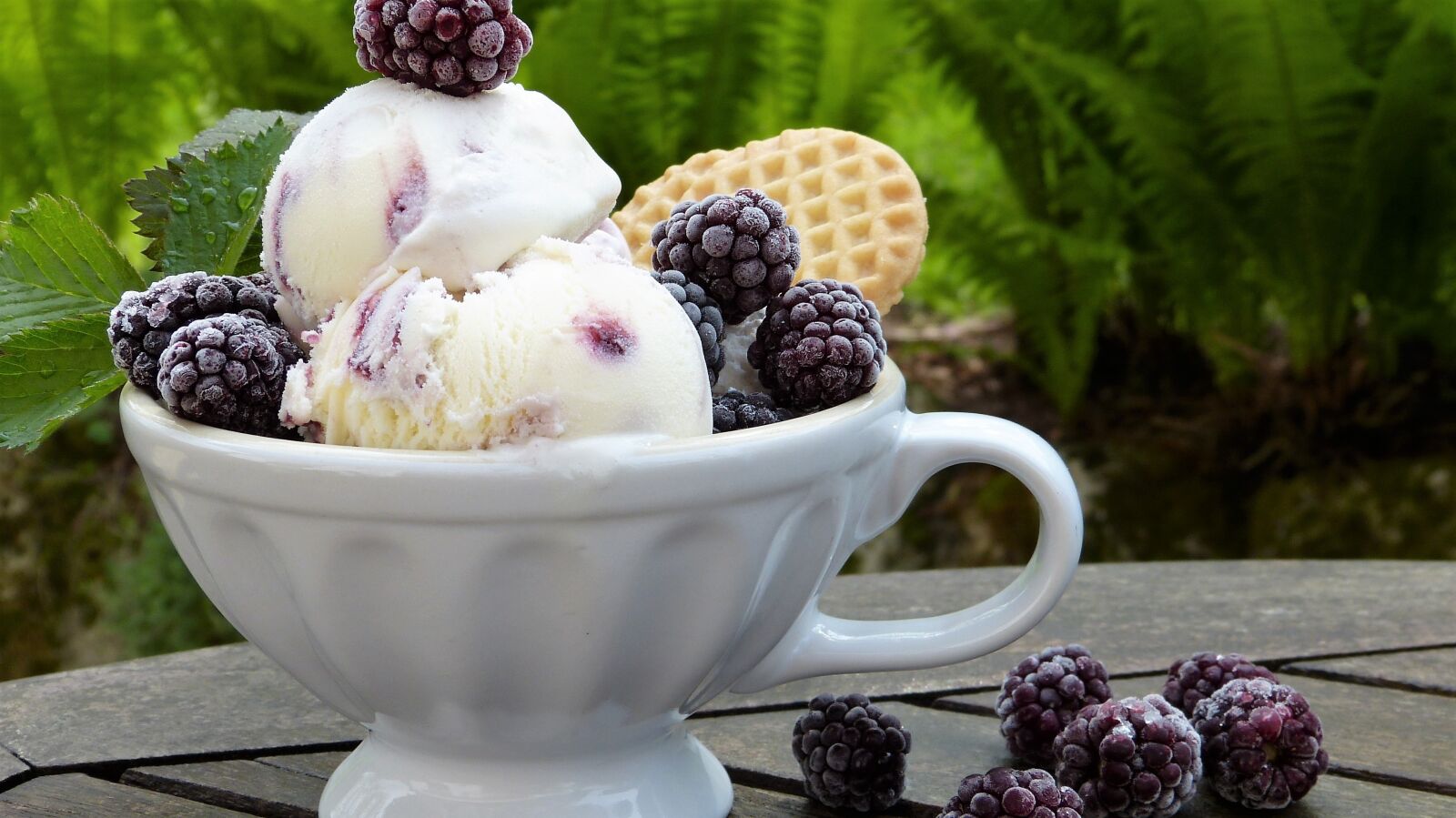 Panasonic Lumix DMC-FZ150 sample photo. Ice, ice cream, blackberries photography
