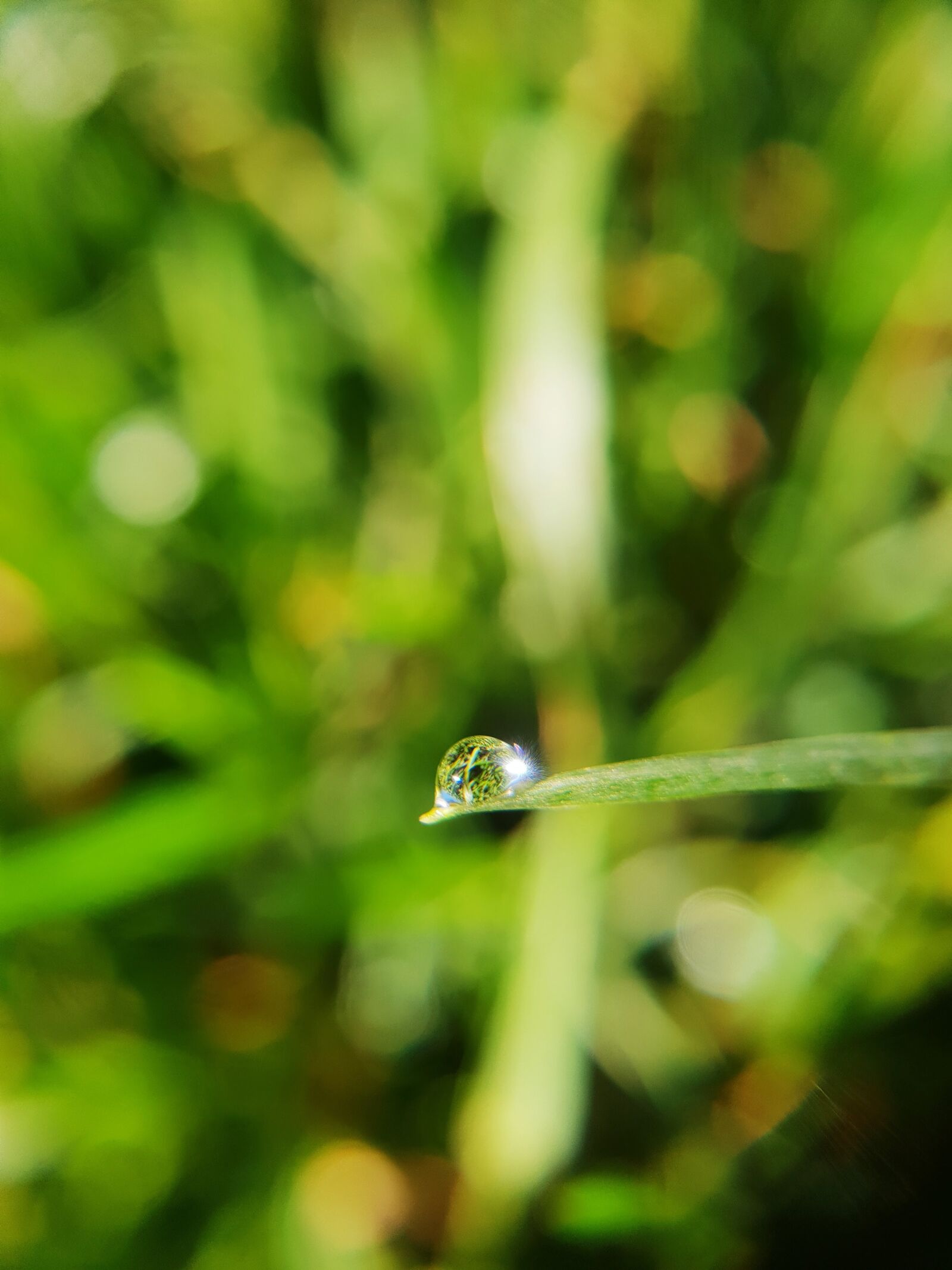 Samsung Galaxy S9 sample photo. Drip, blade of grass photography