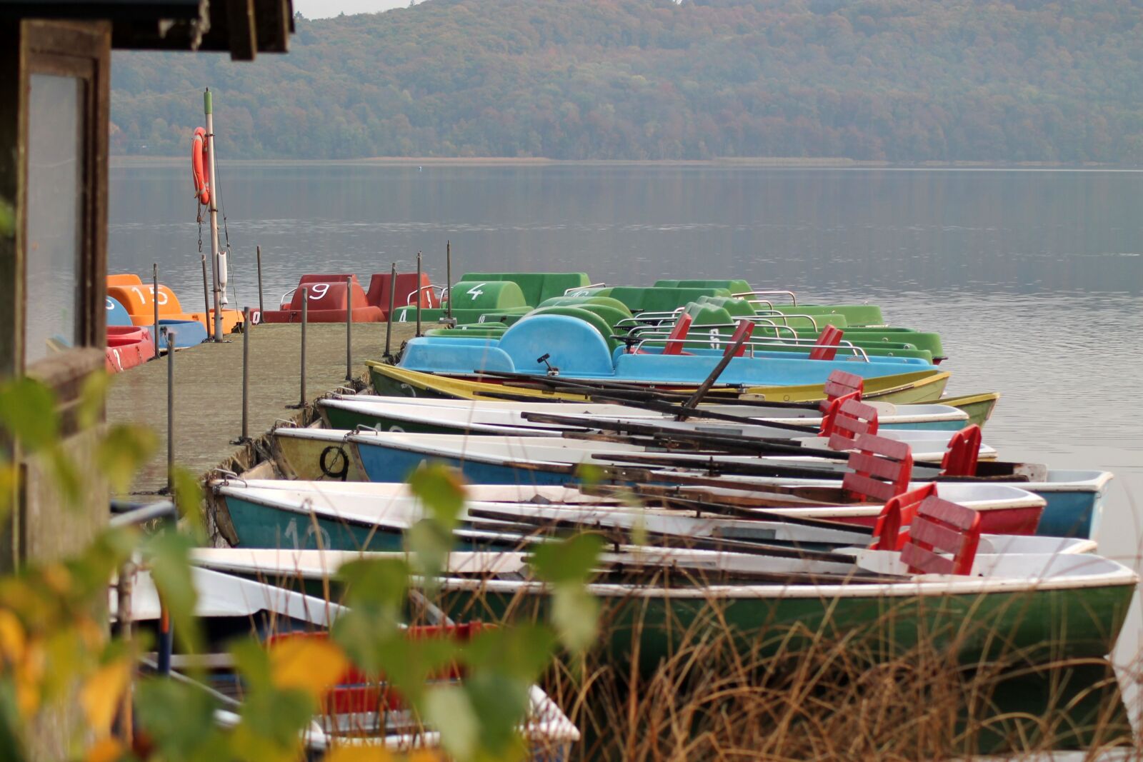 Canon EOS 1100D (EOS Rebel T3 / EOS Kiss X50) sample photo. Lake, mood, autumn photography